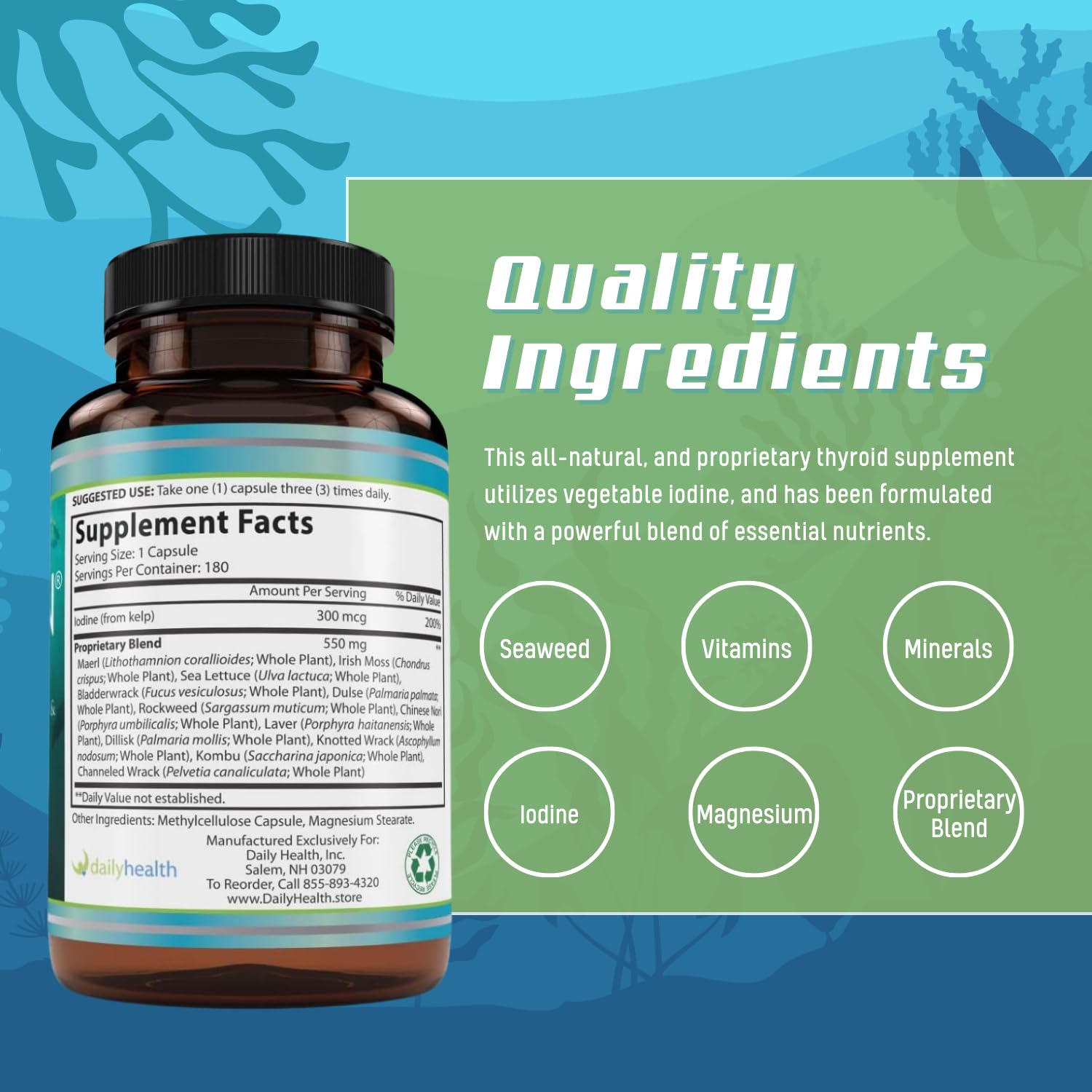 Seatrition 6 Bottles 1080 Capsules - Premium Omega-3 Fish Oil Supplement for Heart, Brain & Joint Health | Supports Cognitive Function & Cardiovascular Wellness | Ideal for Adults & Seniors Daily Nutrition