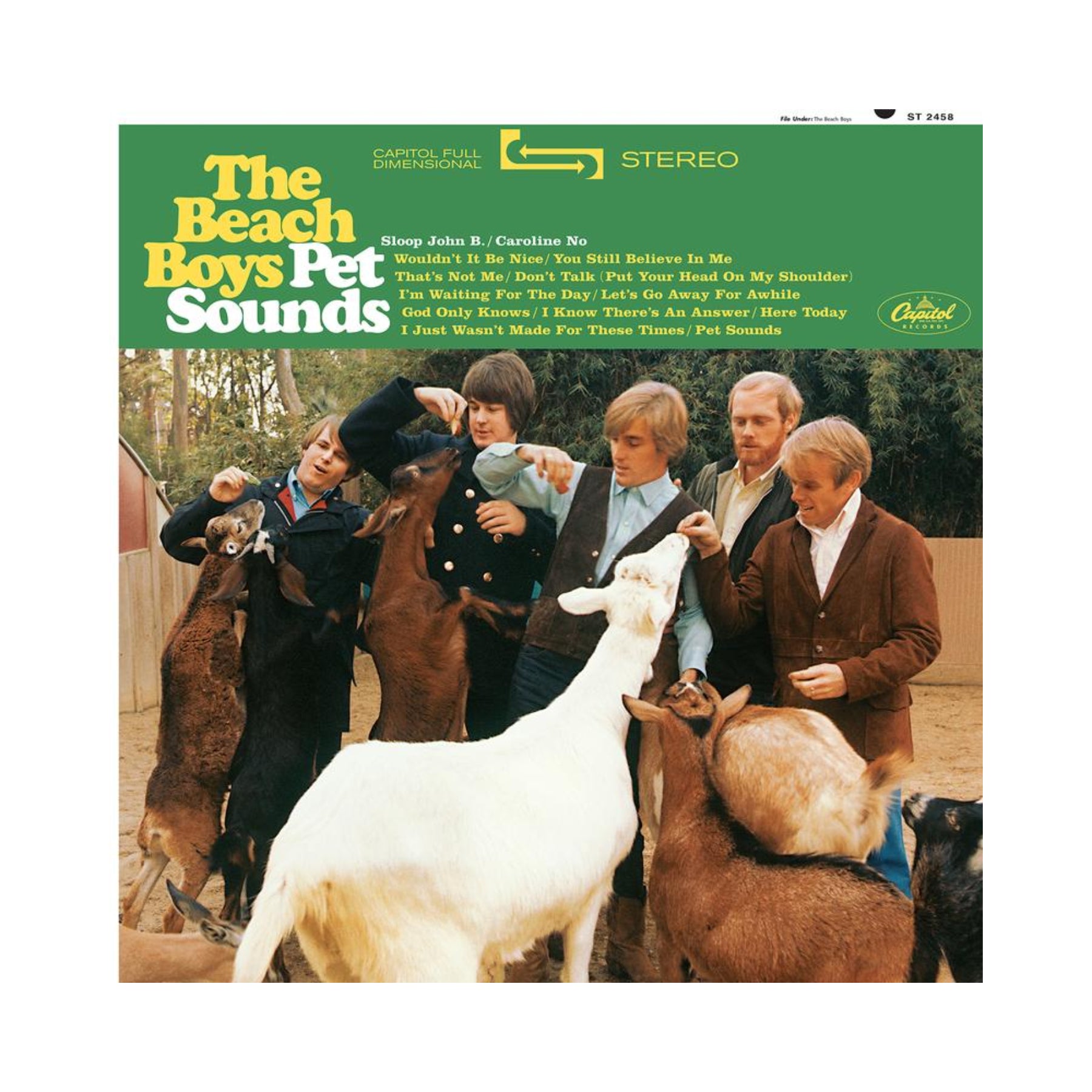 The Beach Boys - Pet Sounds (Stereo 45RPM 2LP Vinyl Record) - Perfect for Vinyl Collectors & Music Lovers, Ideal for Home Listening & Gifts