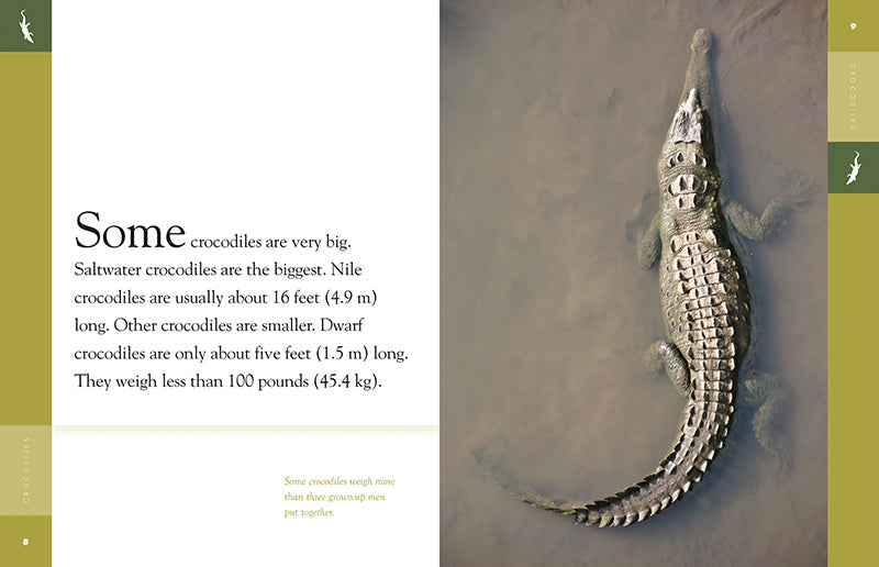 Crocodiles Book 9781640262011 - Wildlife Education & Nature Exploration for Kids & Adults - Perfect for School Projects & Animal Lovers