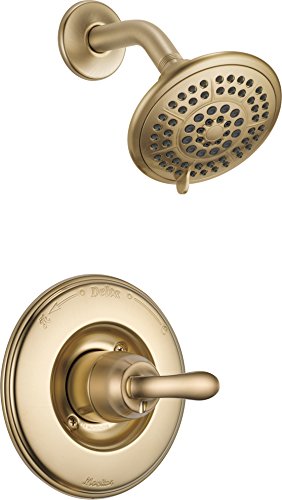 Champagne Bronze