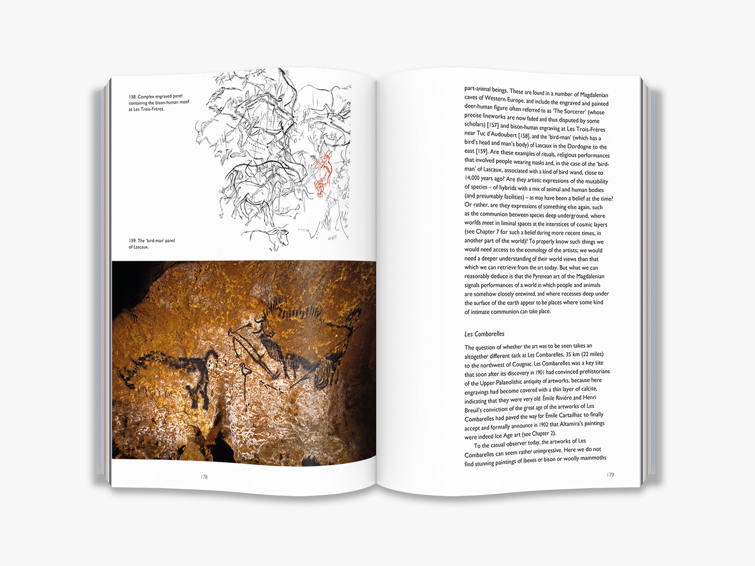 Cave Art (World of Art) - Ancient Rock Paintings & Prehistoric Art History Book for Archaeology Enthusiasts | Perfect for Home Decor, Classroom Learning & Gift Giving