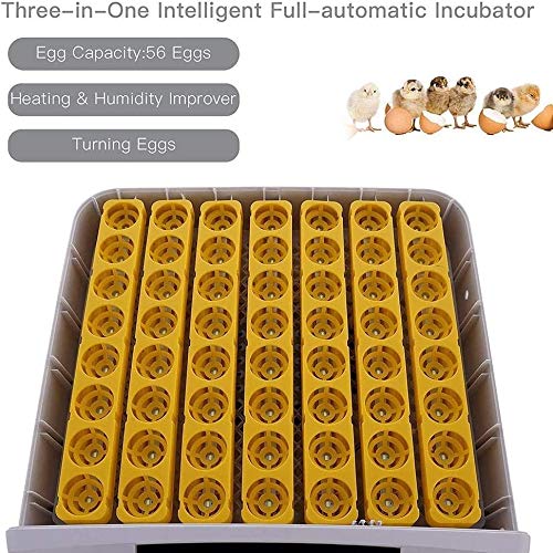 56 Egg Digital Mini Fully Automatic Poultry Egg Incubator - Hatcher for Chicken, Duck, Goose & Bird Eggs with Auto Turning | Perfect for Home Farming, Backyard Poultry & Small Scale Hatching