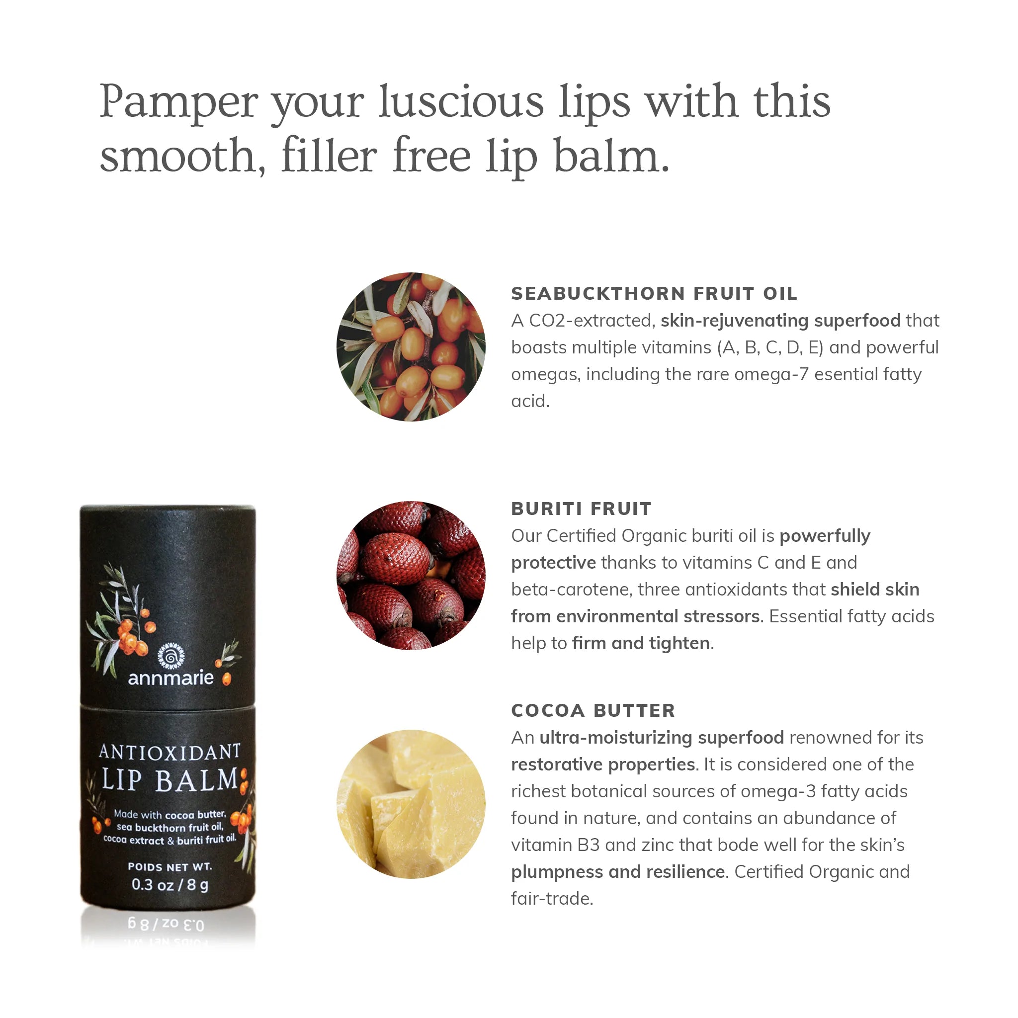 Antioxidant Lip Balm for Dry Lips - Moisturizing & Nourishing Lip Care with Vitamin E - Perfect for Winter, Hiking & Daily Hydration