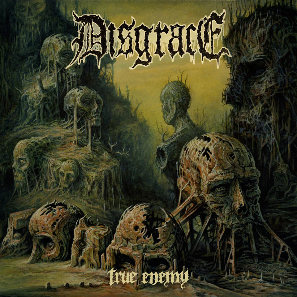 Disgrace - True Enemy Vinyl LP | Limited Edition Punk Hardcore Record | Perfect for Collectors & Music Enthusiasts