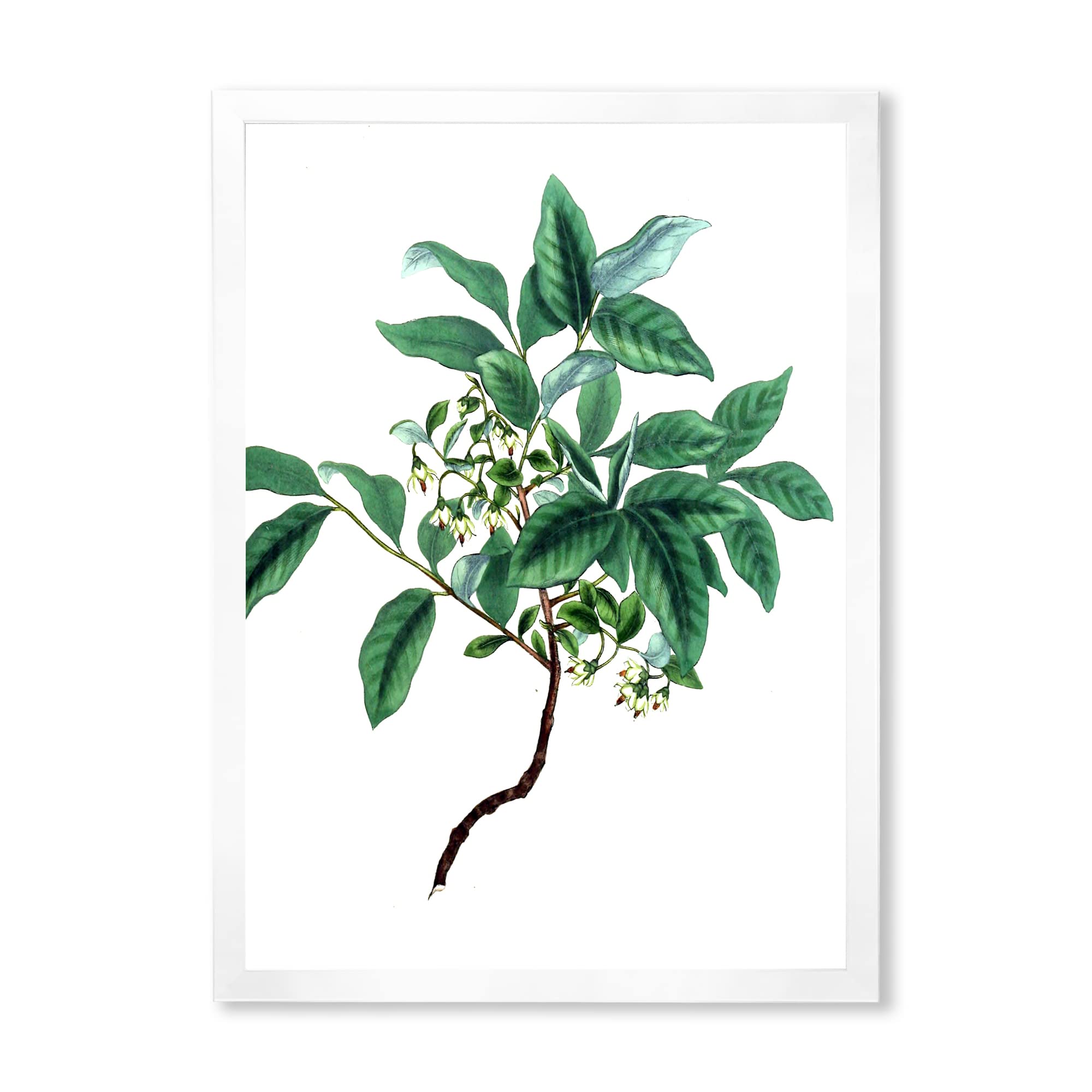 Vintage Green Leaves Botanical Wall Art - Traditional Framed Plant Decor for Living Room, Bedroom & Office