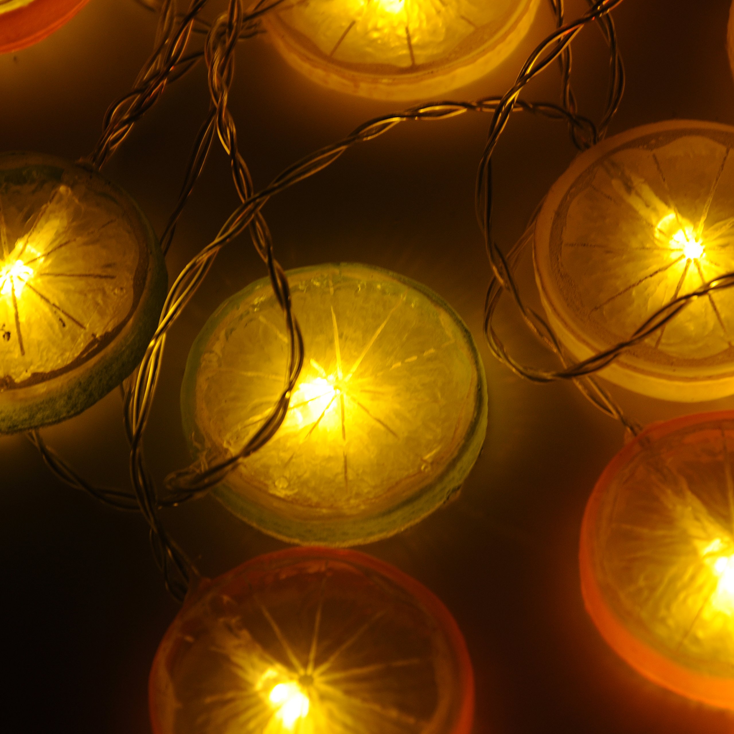 UnderReef 5.5ft Lemon Slice LED Fairy Lights - 10 Warm White Battery Operated String Lights for Christmas, Weddings, Bedroom & Indoor Decor | Perfect for Party Backdrops, Garden Accents & Cozy Home Ambiance