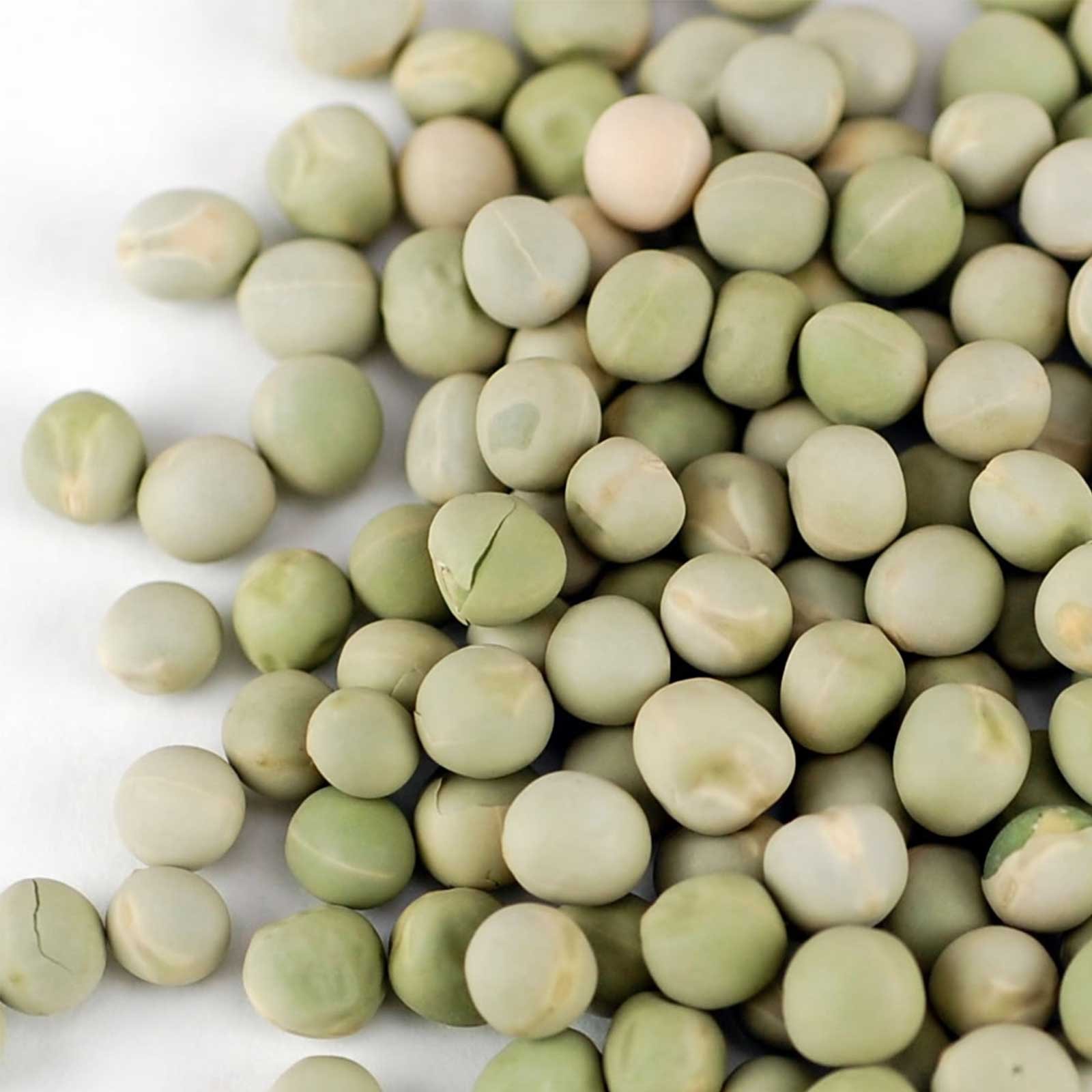 Organic Green Pea Sprouting Seeds - 35 Lb Bulk (Handy Pantry Brand) - for Home Gardening, Microgreens, Cooking, Soup & Emergency Food Storage - Perfect for Hydroponics, Vegan Diets & Healthy Meal Prep
