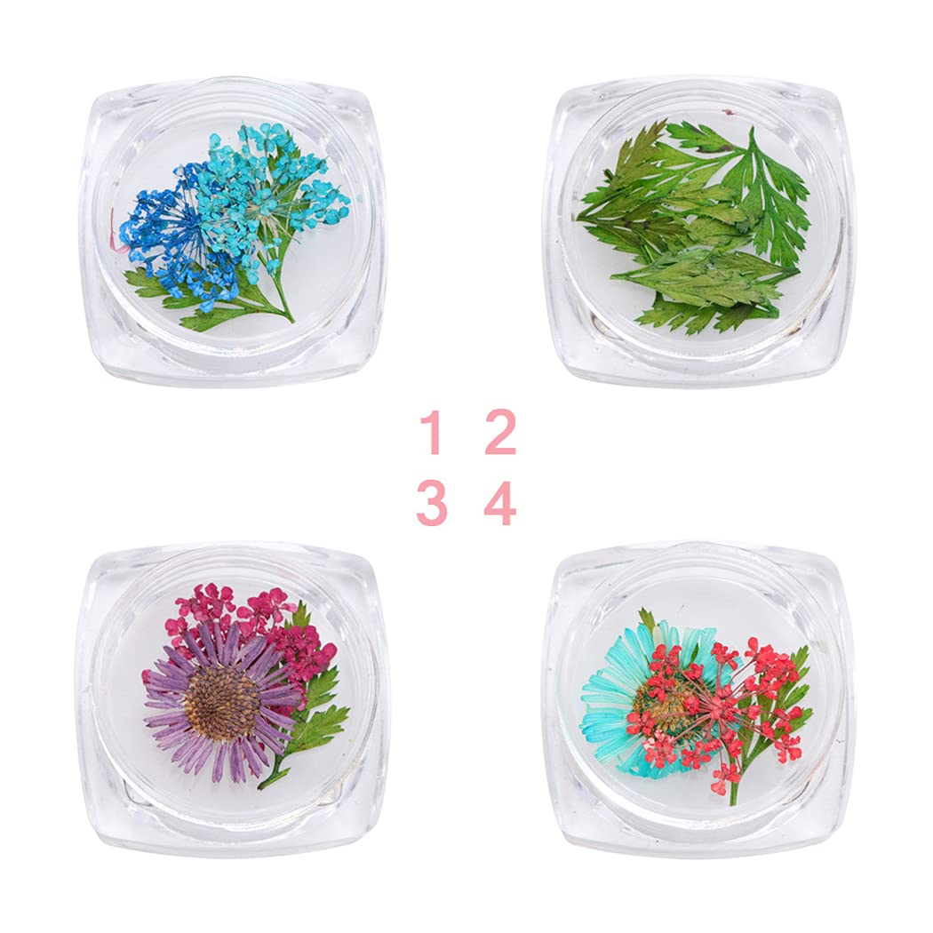 CACAZI Natural Dried Flowers for Nail Art - DIY Pressed Flower Nail Accessories Kit with Nail Art Stones - Perfect for Manicure, Pedicure & Creative Nail Designs at Home or Salon