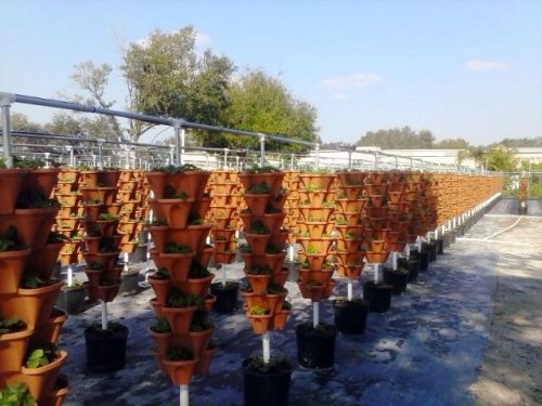 Mr Stacky Vertical Gardening Planters - Stackable Pots for Any Grow Medium (Soil, Hydroton, Perlite) - Hydroponic & Aquaponic System - DIY Container Garden for Indoor/Outdoor Plants - Perfect for Small Spaces, Balconies & Urban Gardening