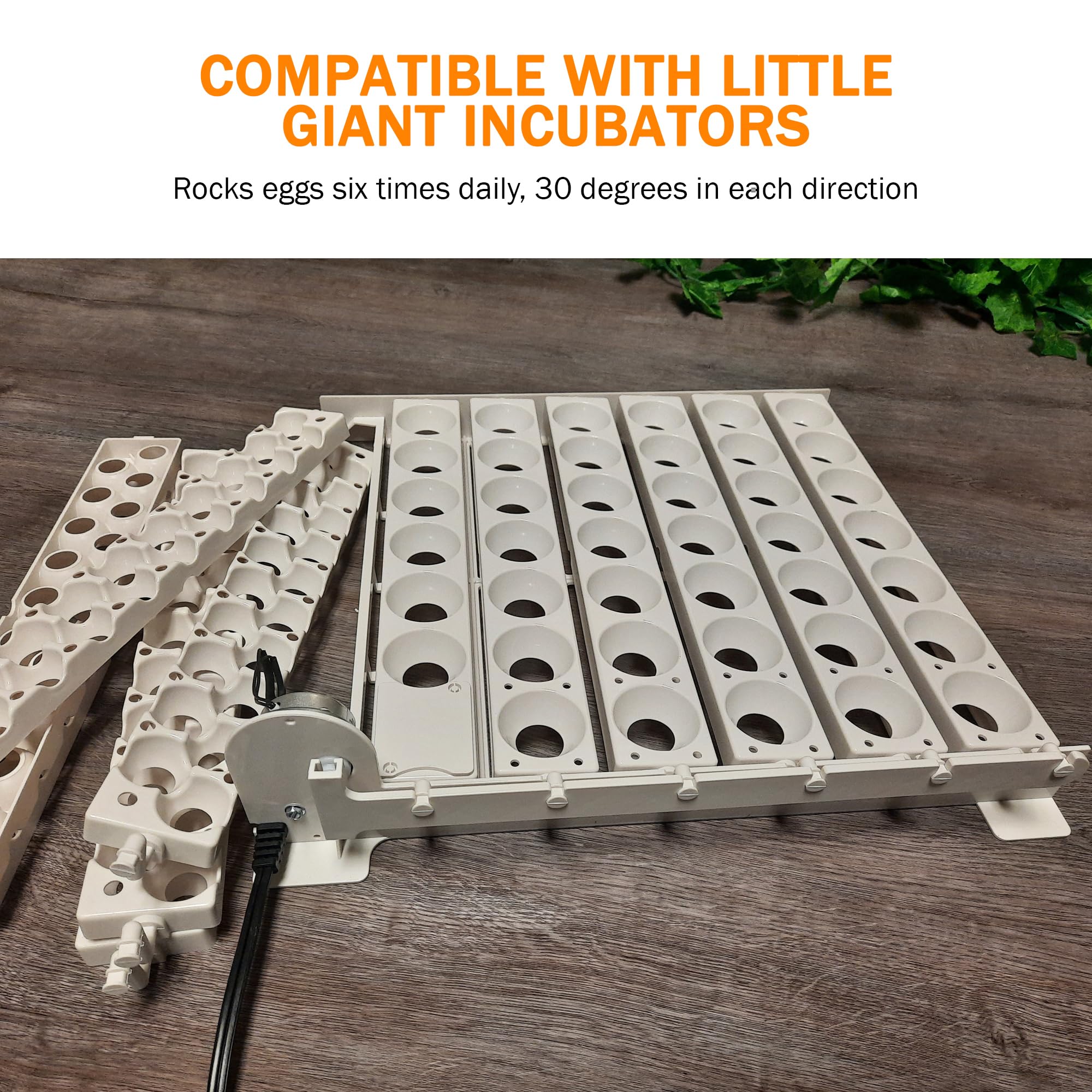 Little Giant Automatic Egg Turner 6300 with Quail Rails - Automatic Egg Rotator for Chicken, Duck & Quail Eggs - Perfect for Incubators & Poultry Farming