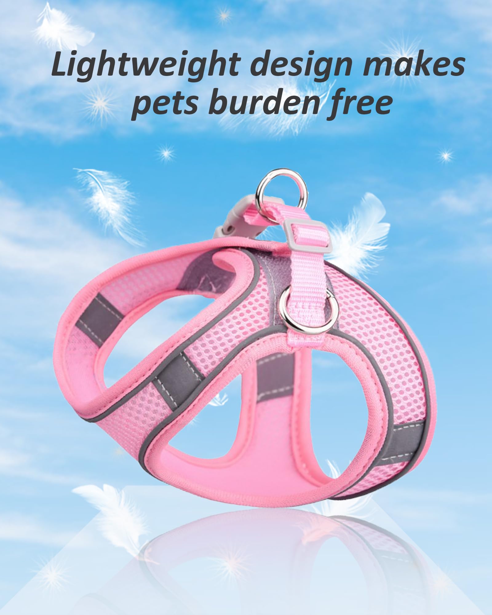 Solmoony No-Pull Dog Harness for Small, Medium & Large Dogs - Breathable Mesh Step-in Puppy Harness with Leash Set (Pink, XXS) - Perfect for Walking, Training & Outdoor Adventures