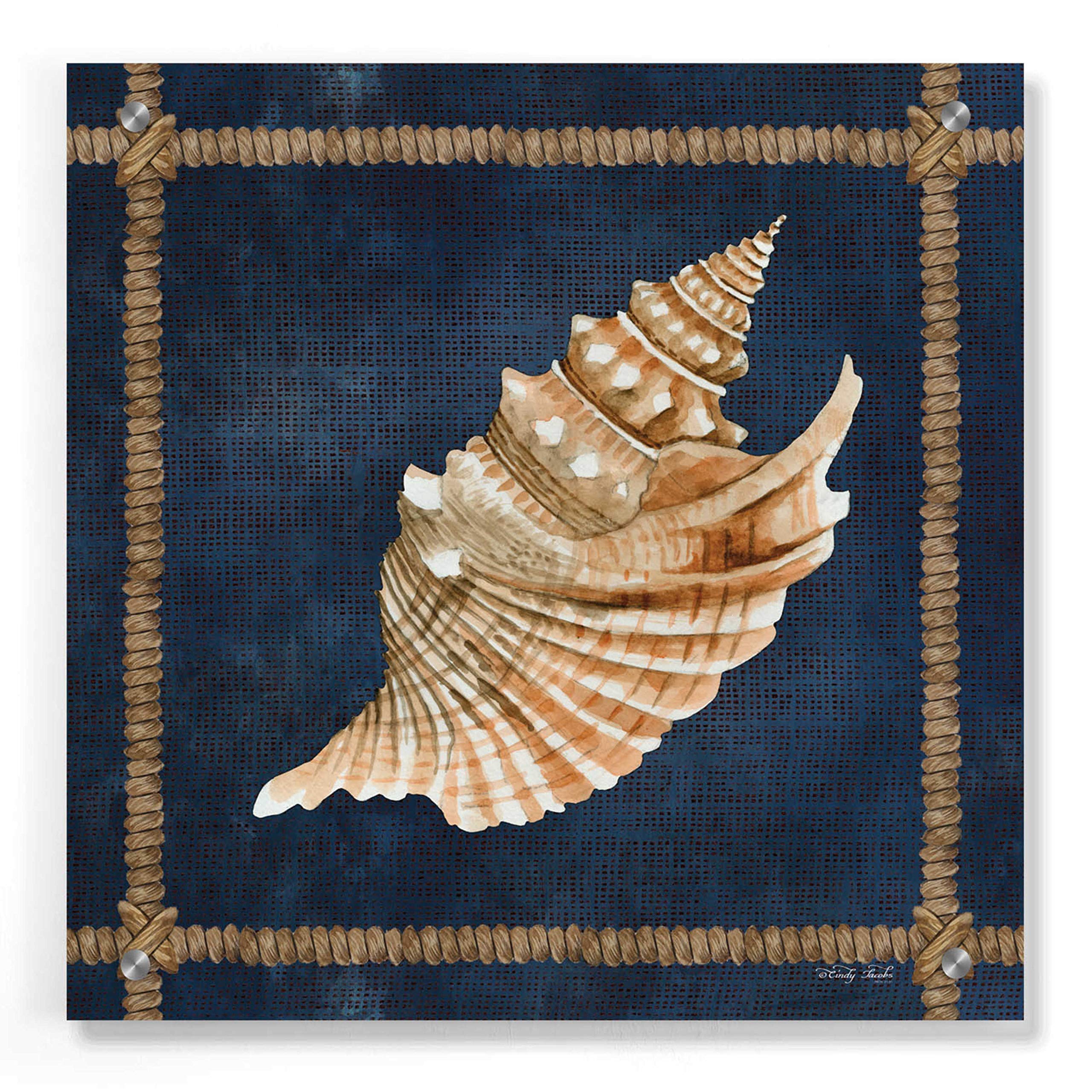 Seashell on Navy V by Cindy Jacobs - 36x36 Inch Acrylic Glass Wall Art Painting, Modern Coastal Home Decor for Living Room, Bedroom & Office