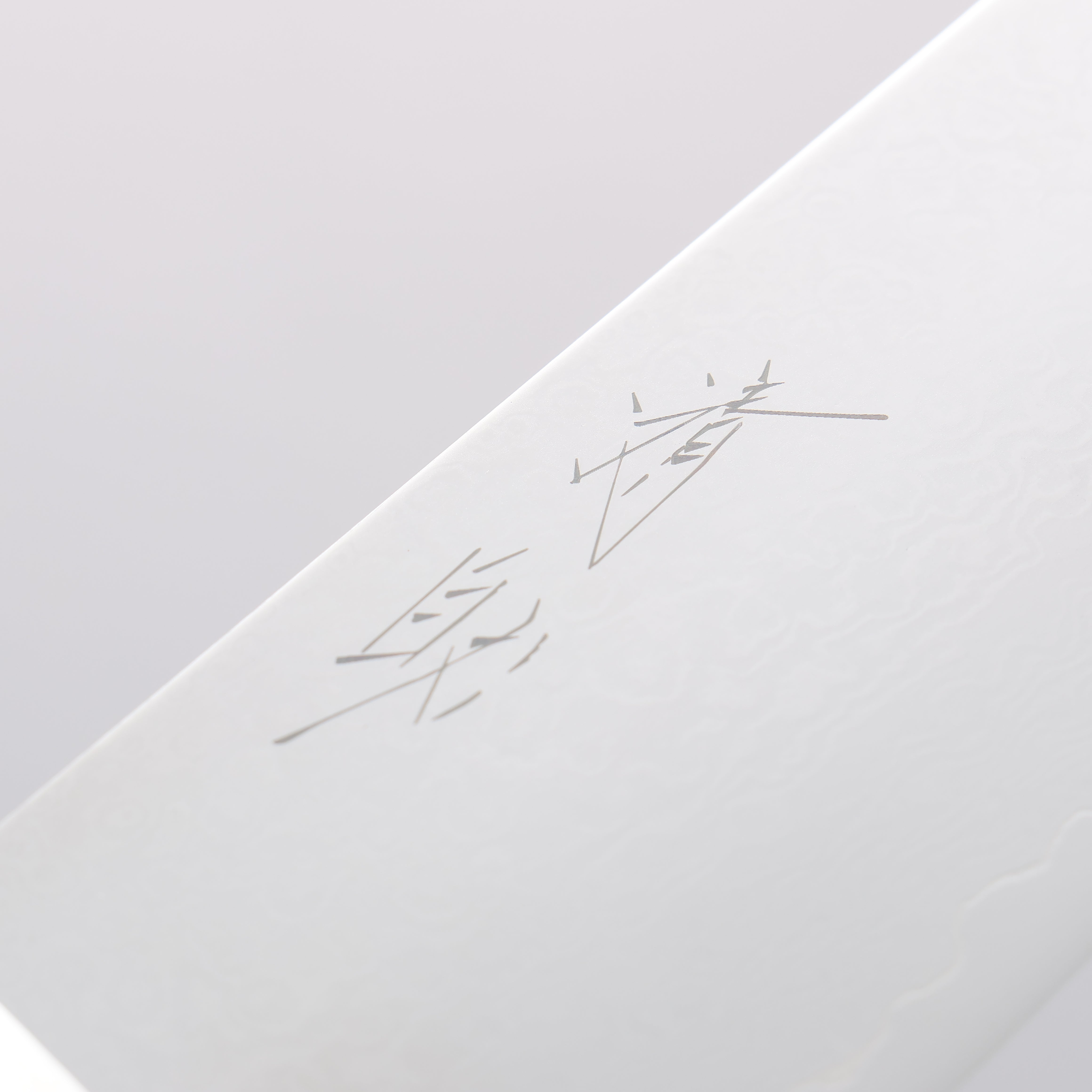 Premium Seisuke Saiun VG10 Damascus Gyuto Chef Knife 200mm - Black Micarta Handle for Professional Chefs & Home Cooking