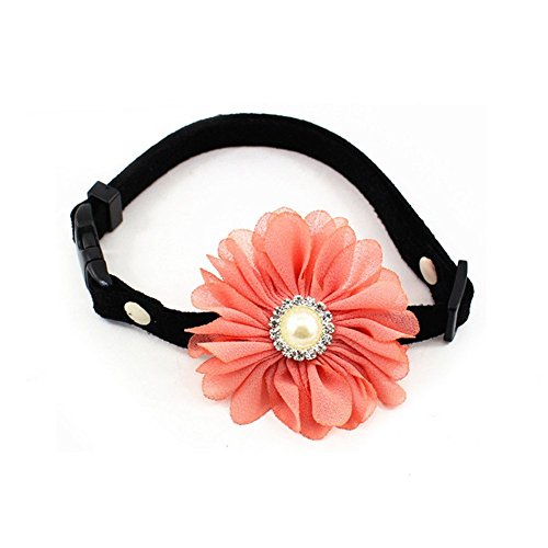 Salmon Pink