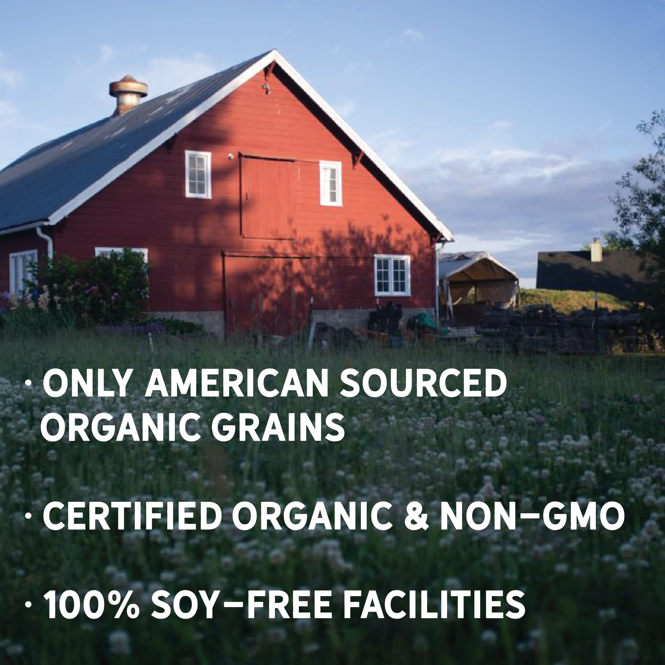 Organic Non-GMO Chicken Feed for Laying Hens - 40lbs Wheat-Free, Soy-Free & Gluten-Free Layer Feed with 17% Protein | Healthy Egg Production | Perfect for Backyard Chickens & Poultry Farms