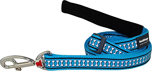 Reflective Turquoise