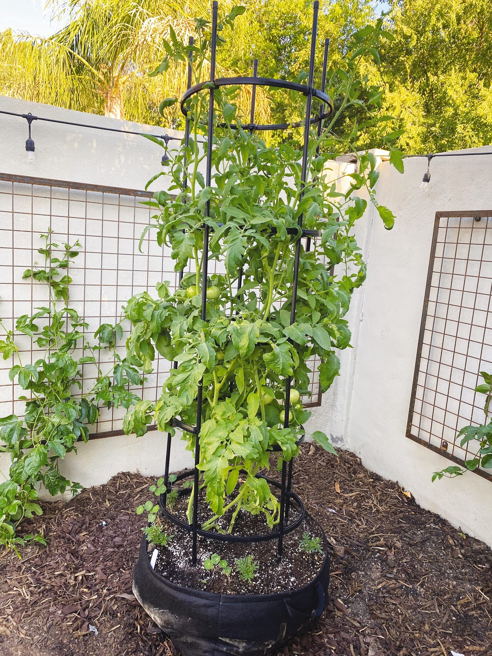Titan Self-Watering Tomato Planter with Trellis - All-in-One Tomato Growing Kit | Includes Grow Bag, Trellis & Watering Inserts | Perfect for Patio, Balcony & Home Gardening | Large Capacity for Healthy Tomato Plants