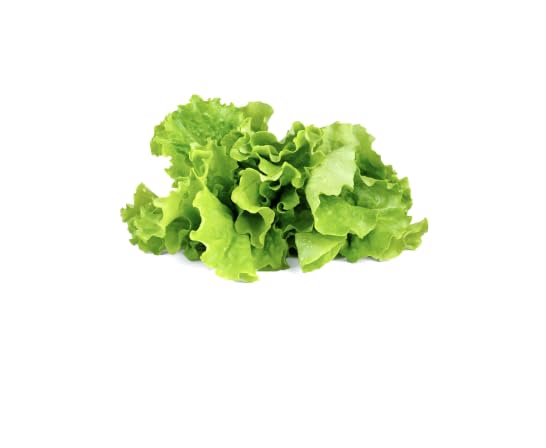 Click and Grow Green Lettuce 3-Pack Plant Pods for Smart Garden - Fresh Indoor Salad Greens Kit for Home Gardening - Perfect for Kitchen Countertops, Office Desks & Urban Farming