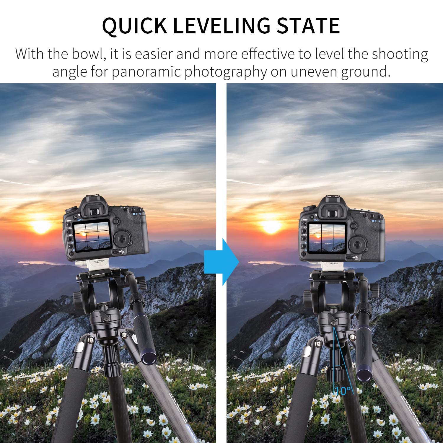 INNOREL ST324CF 32mm Carbon Fiber Tripod with Lever Lock - Heavy Duty Professional Camera Tripod Supports 30kg, 13-158cm Adjustable Height - Includes 58mm Bowl Adapter, Carry Bag & Camera Strap for Photography, Videography & Outdoor Shooting