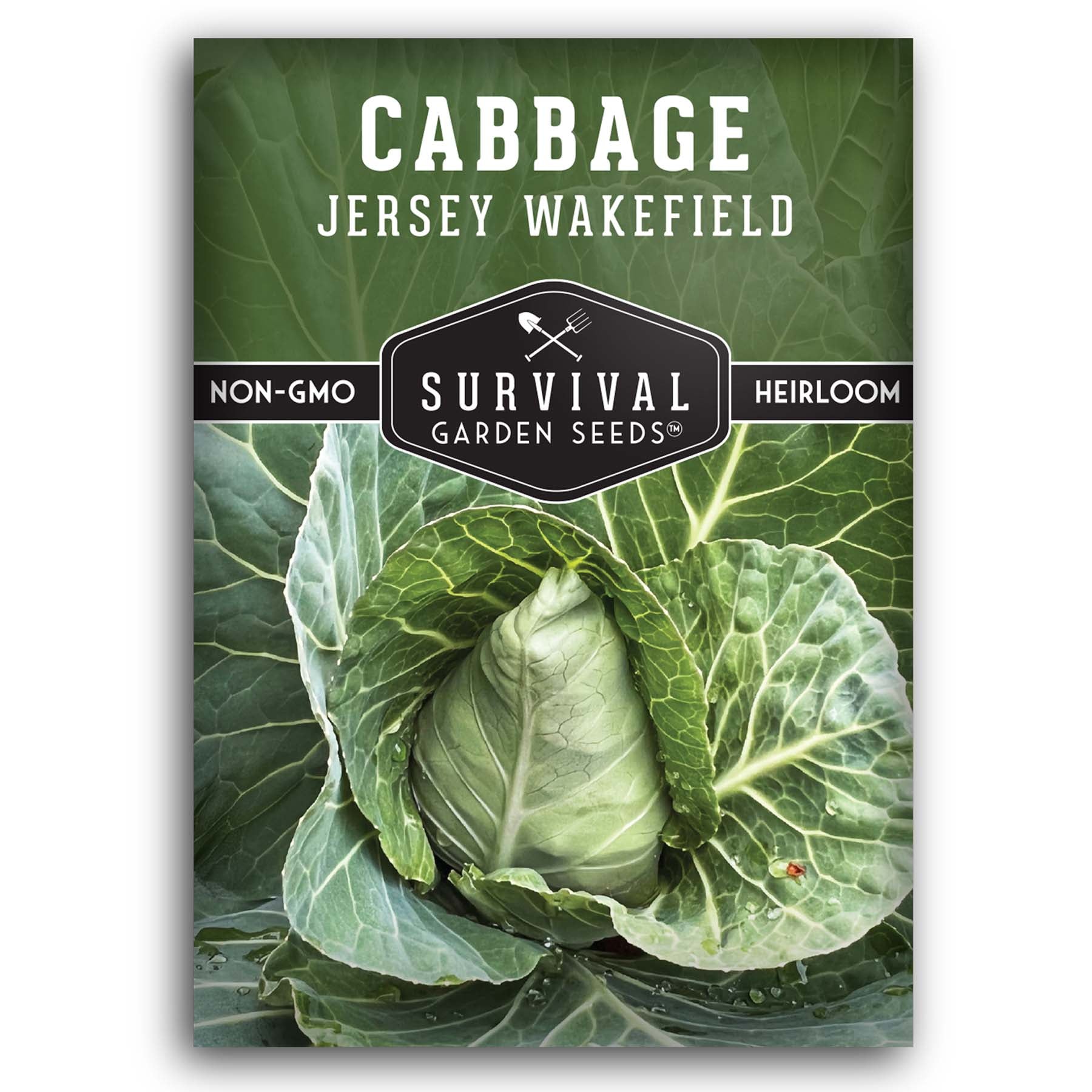 Organic Jersey Wakefield Cabbage Seeds for Planting - Non-GMO, Heirloom Variety - Perfect for Home Gardens, Vegetable Patches & Fresh Salads