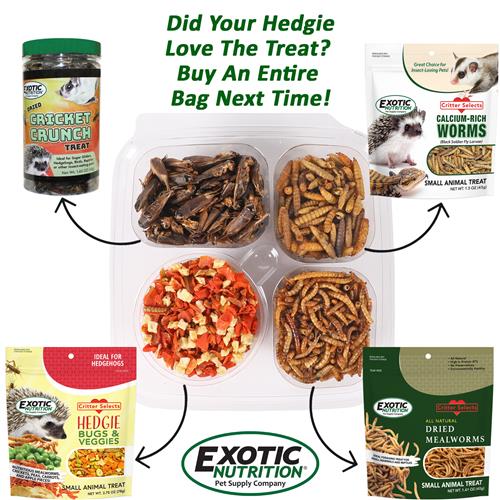 Premium Hedgehog Treat Sampler - Healthy Snacks for Pet Hedgehogs - Assorted Flavors for Small Animals - Perfect for Bonding & Training Treats