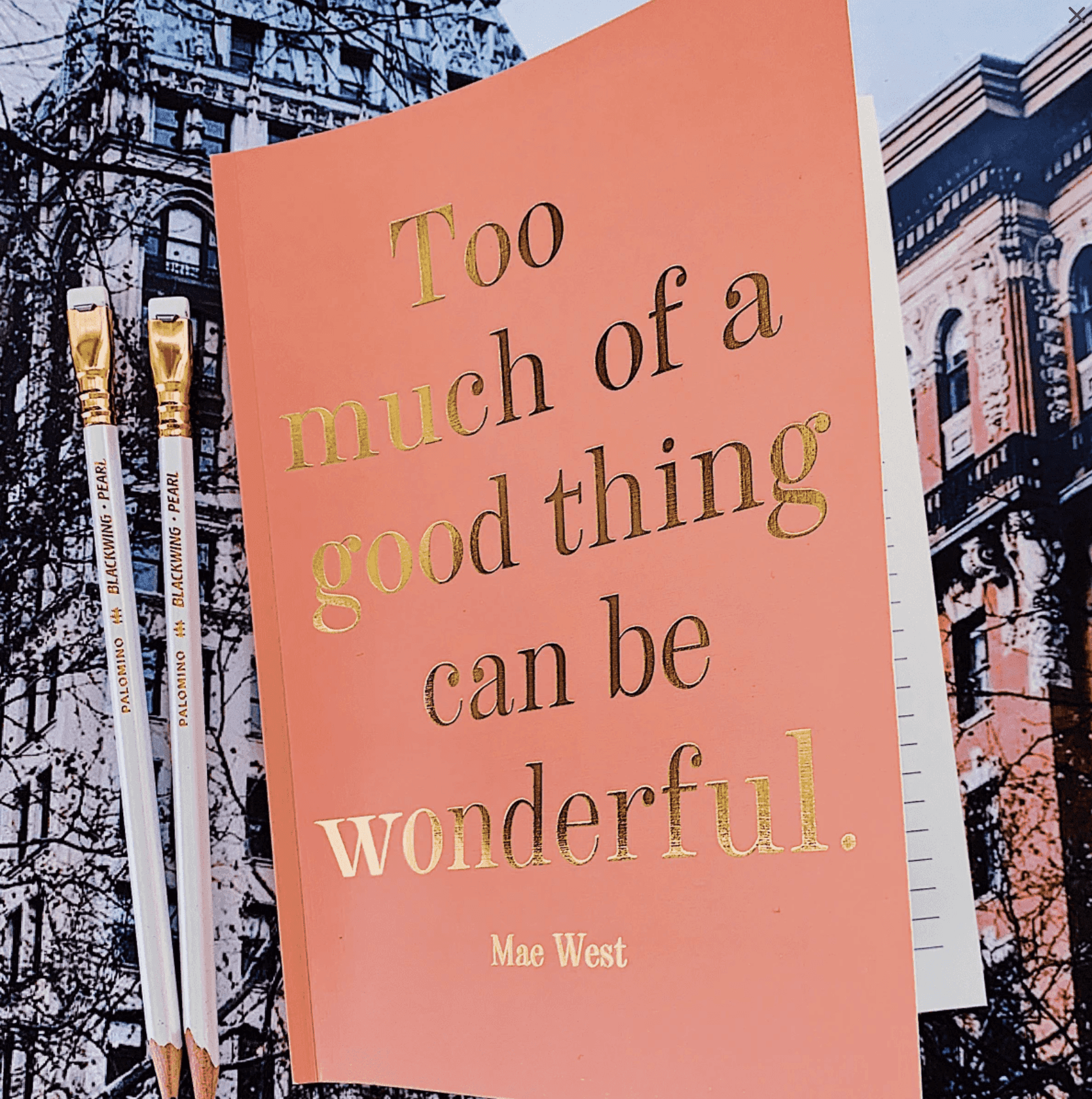 Too Much Of A Good Thing Memoir Notebook Journal - Lined Writing Notebook for Journaling, Diary, Notes & Creative Writing - Perfect Gift for Writers & Students