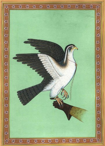 Royal Hawk Falconry Watercolor Painting by Kailash Raj - Handmade Artwork for Home Decor, Office Wall Art & Bird Lover Gifts