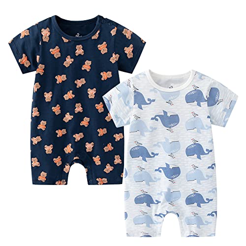 Bear & Whale