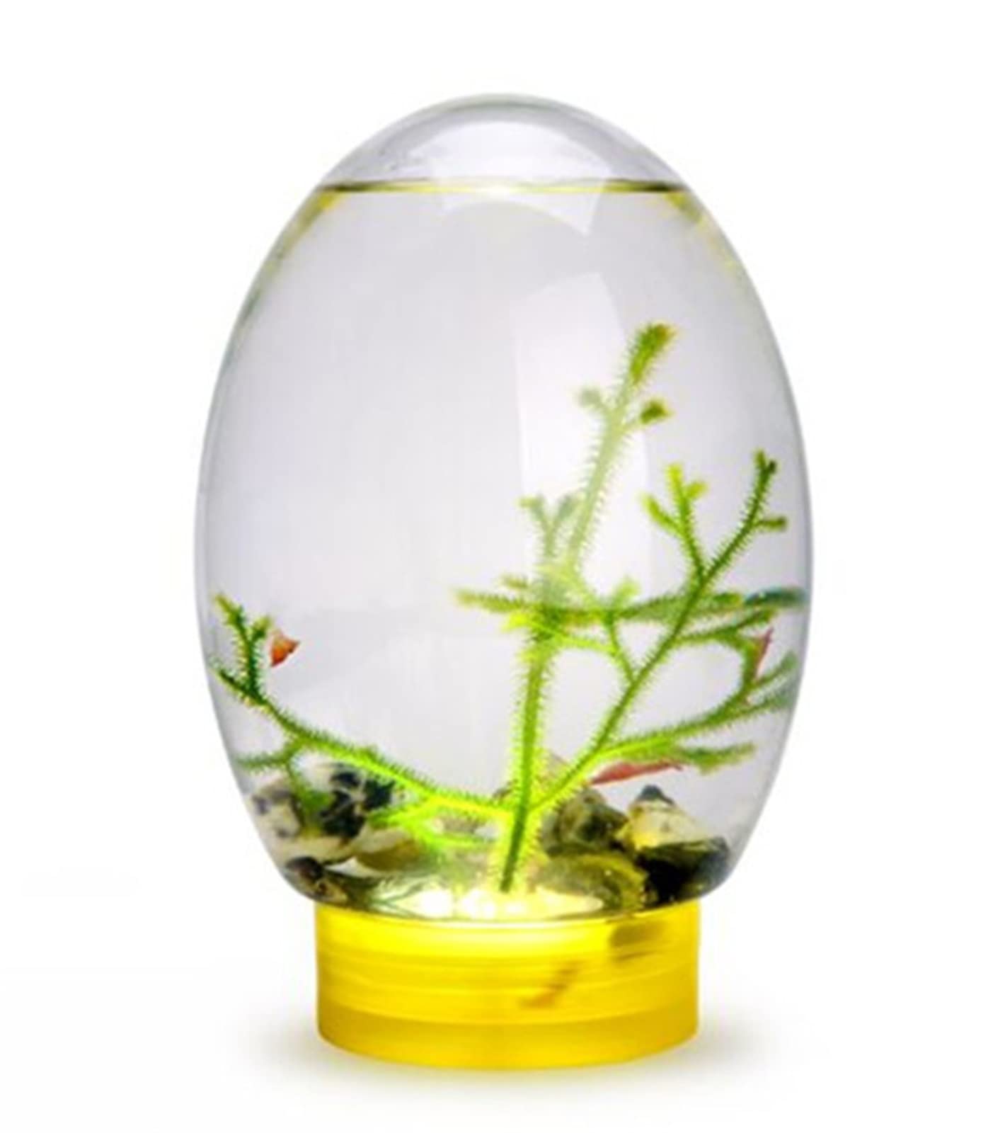FLECHZAO Mini Desktop Fish Tank with LED Base - Self-Sustaining Closed Aquatic Ecosphere, No Water Change or Feeding Needed (Yellow) - Perfect for Home, Office Decor & Stress Relief