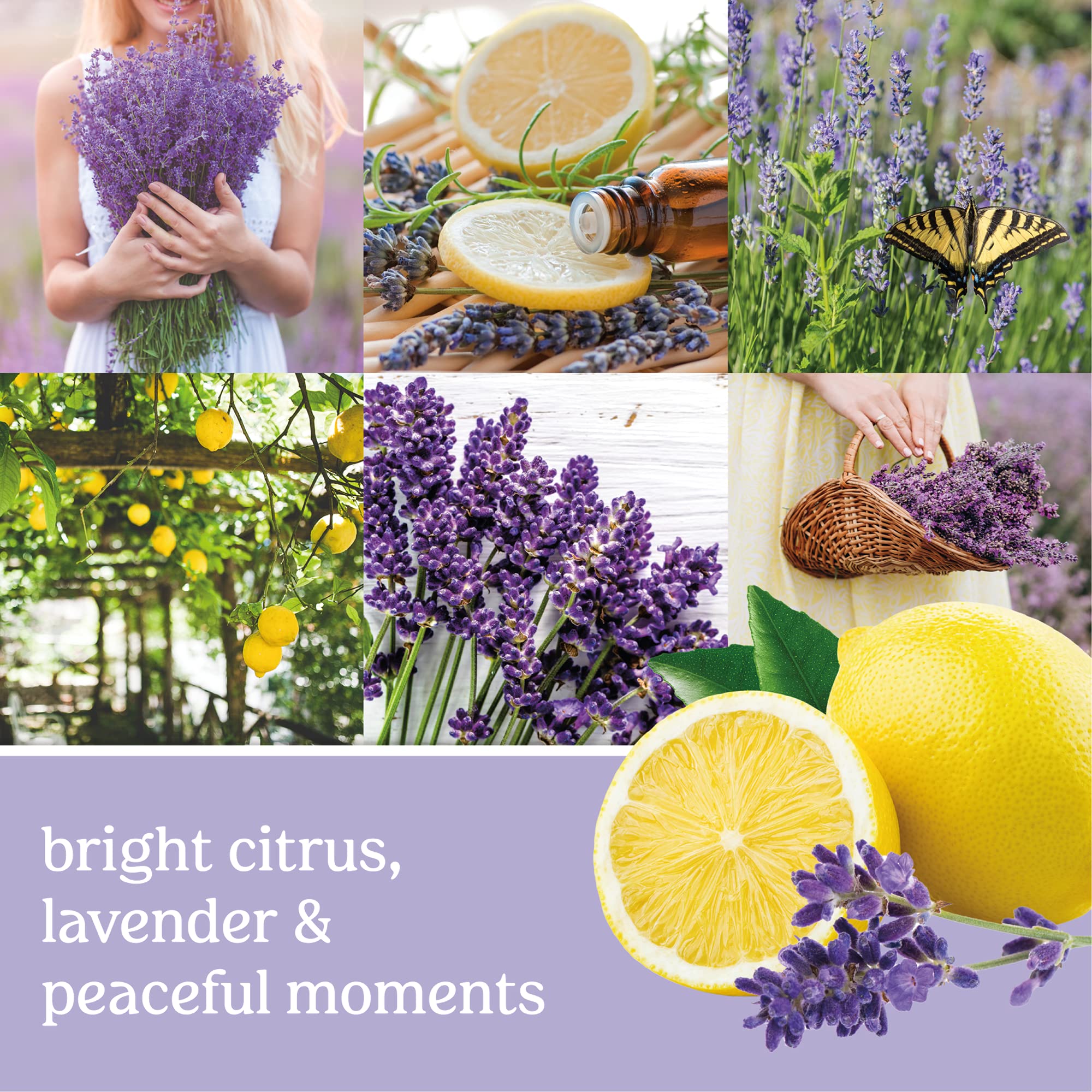 Yankee Candle Lemon Lavender Scented Candle - 4.3oz Small Tumbler Single Wick for 20+ Hours Burn Time | Aromatherapy, Home Decor & Relaxation Gift for Bedroom, Bathroom & Living Spaces