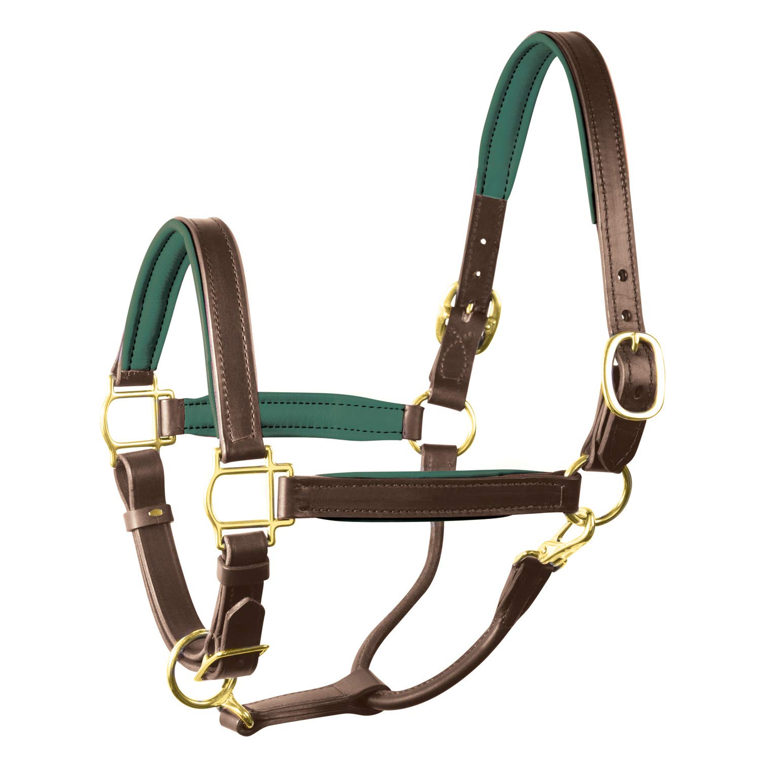 Perri's Padded Leather Horse Halter - Comfortable & Durable Havana/Hunter Green Equestrian Gear for Training & Show