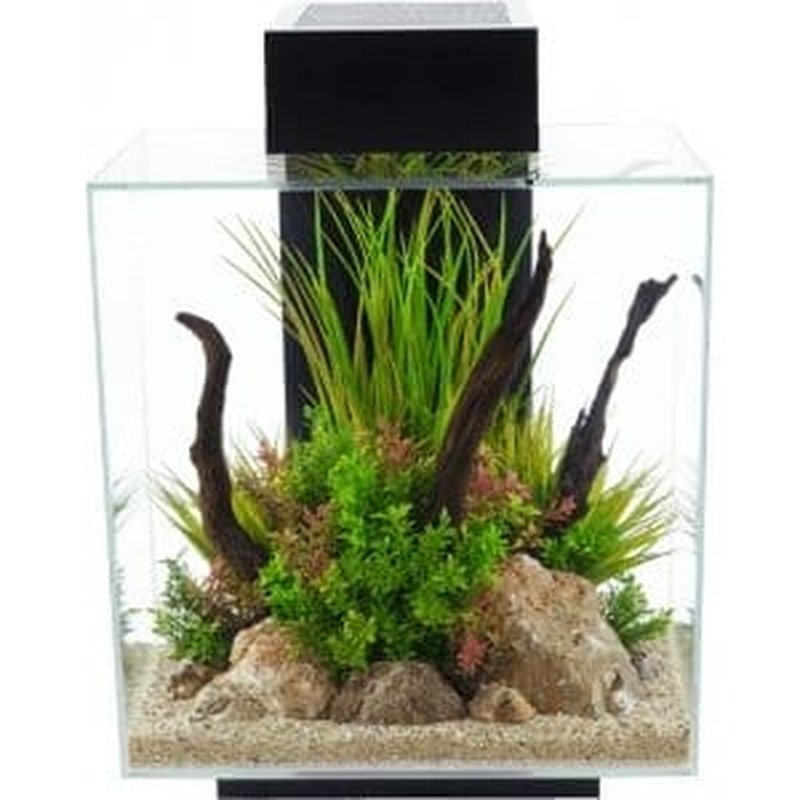 Fluval EDGE 2.0 LED Aquarium Kit - 12 Gallon (46L) Black Modern Fish Tank with High-Clarity Glass for Home or Office Decor