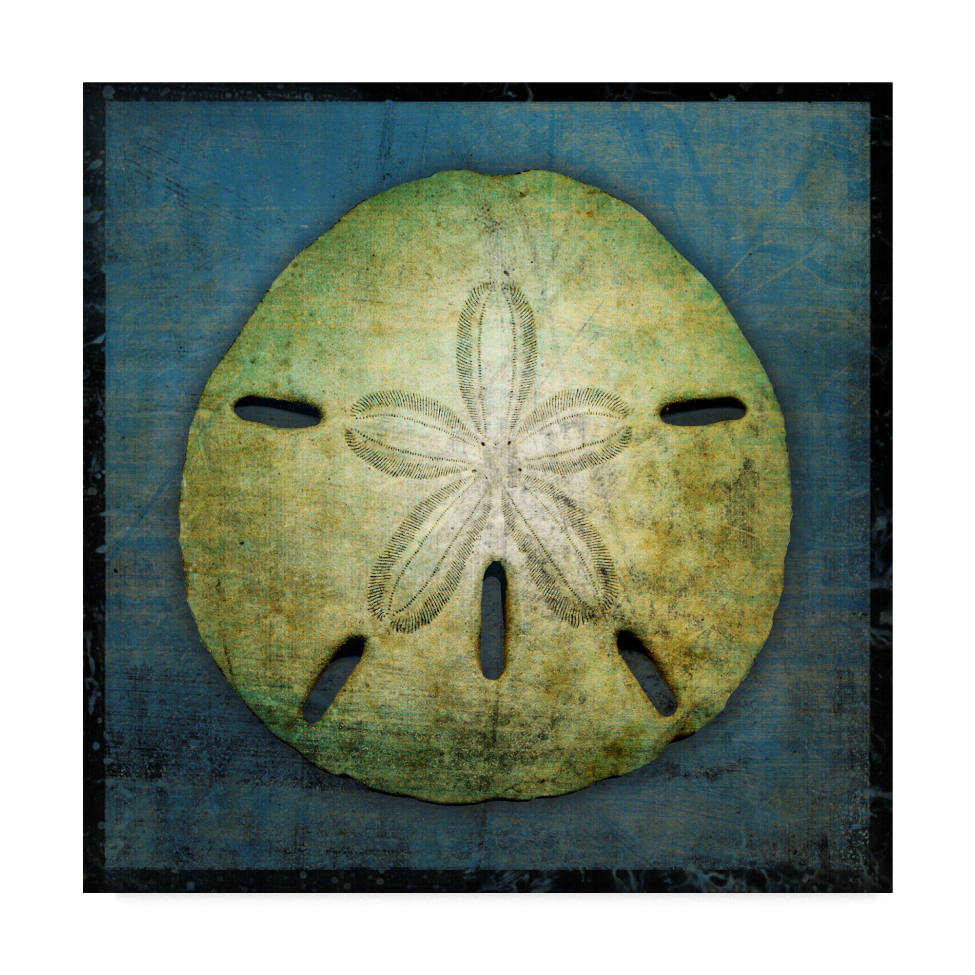 Sand Dollar by John W. Golden - 24x24 Inch Coastal Beach Wall Art - Perfect for Living Room, Bedroom or Beach House Decor