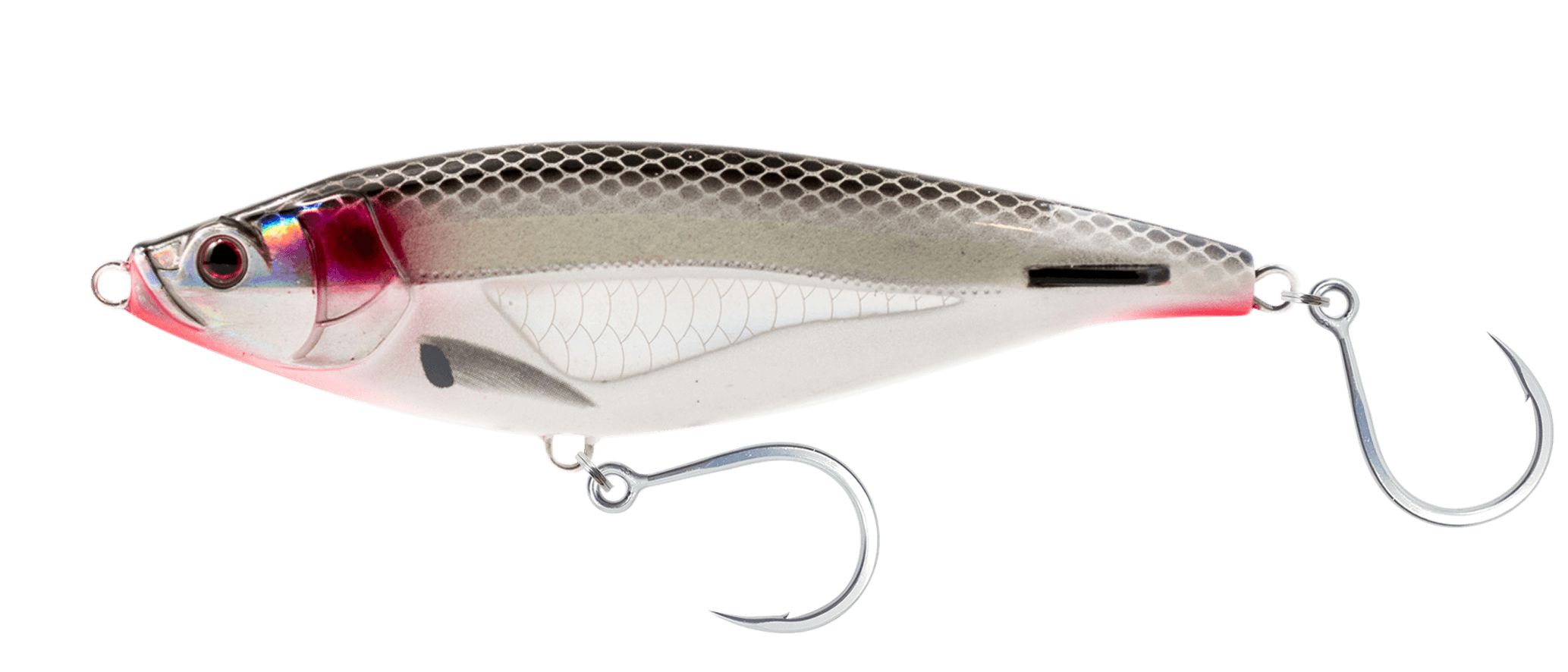 Chartreuse Orange Mackerel