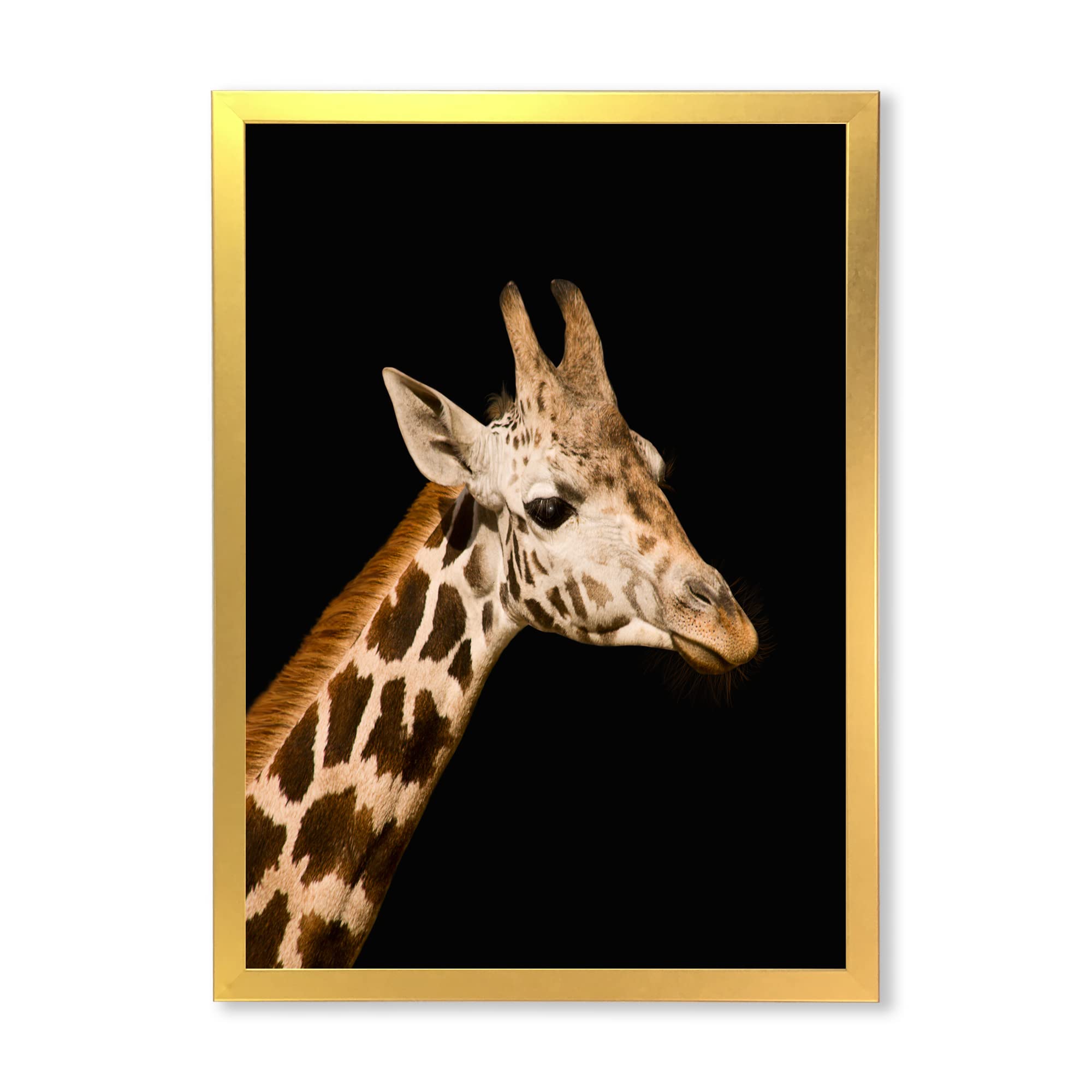 DesignQ Close-Up Portrait of a Giraffe IV - Farmhouse Framed Wall Art Decor for Living Room, Bedroom & Office - Rustic Animal Photography Print for Home & Office Decoration