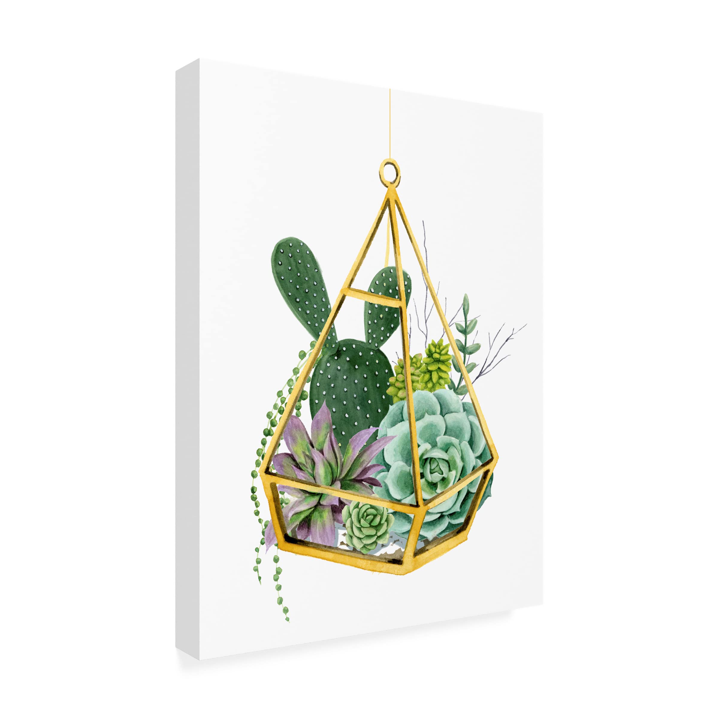 Grace Popp 'Wild Terrarium I' Canvas Wall Art Print - Modern Botanical Home Decor for Living Room, Bedroom & Office - Stretched & Framed Ready to Hang