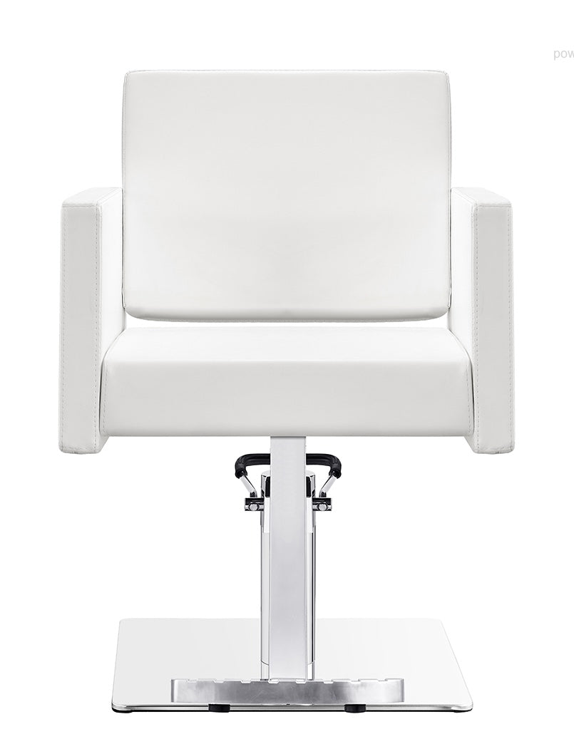 Premium Salon Chair for Hair Styling & Barbering - Adjustable Hydraulic Stylist Chair with Headrest & Footrest - Perfect for Salons, Barbershops & Home Use