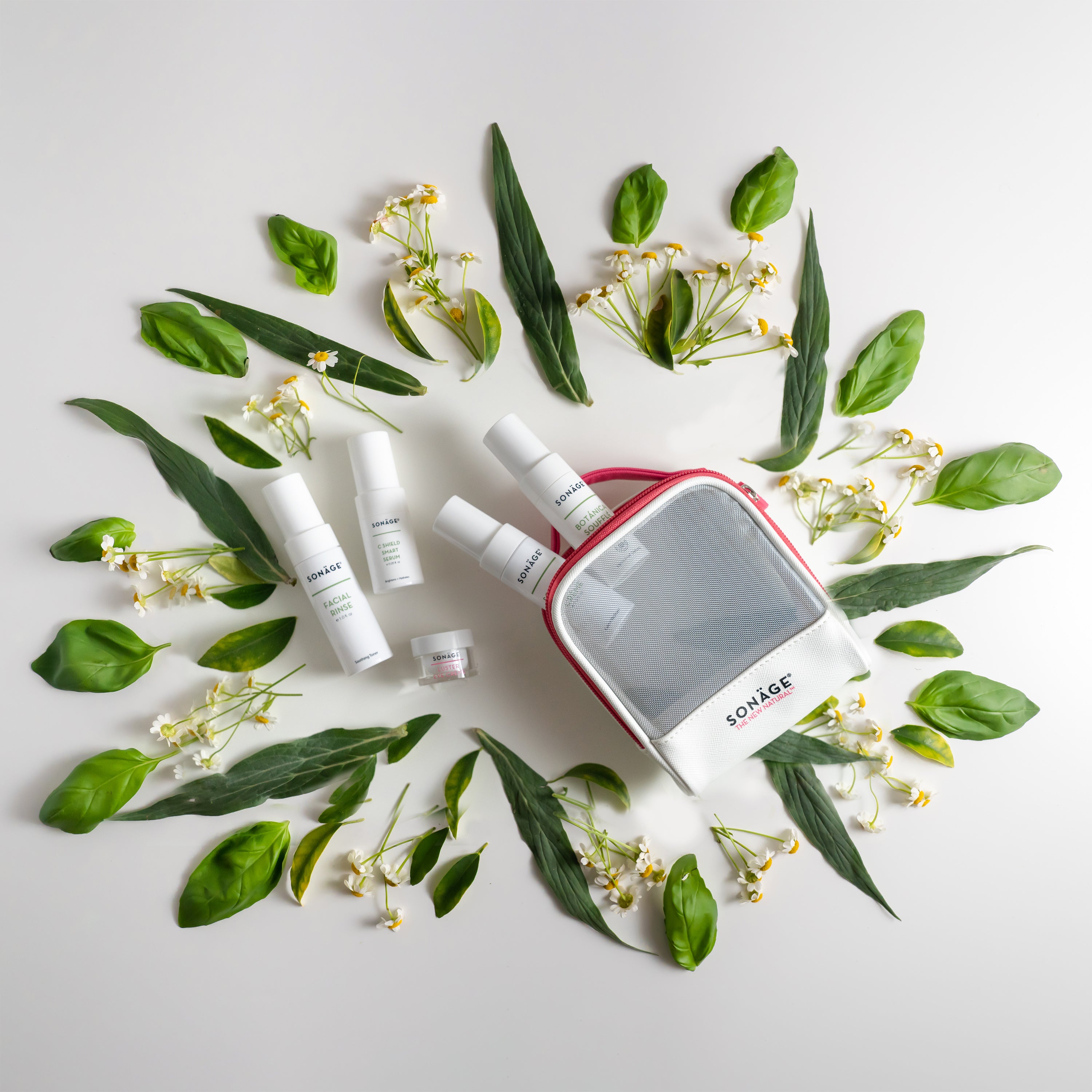 **Soothe Mini Set - Wholesale Bulk Purchase for Aromatherapy, Stress Relief & Relaxation - Perfect for Spas, Yoga Studios & Home Use**