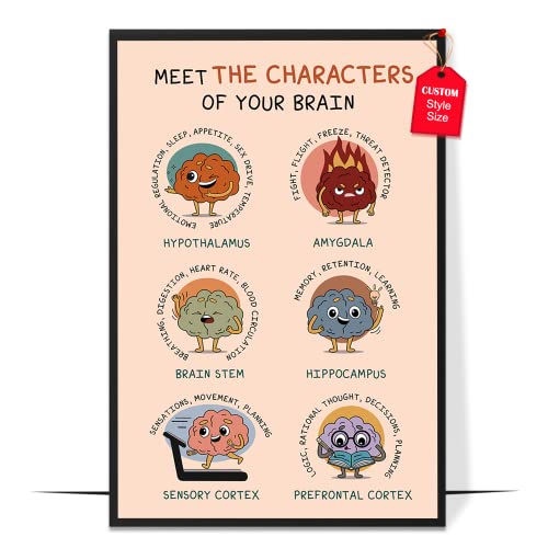 Meet The Characters of Your Brain