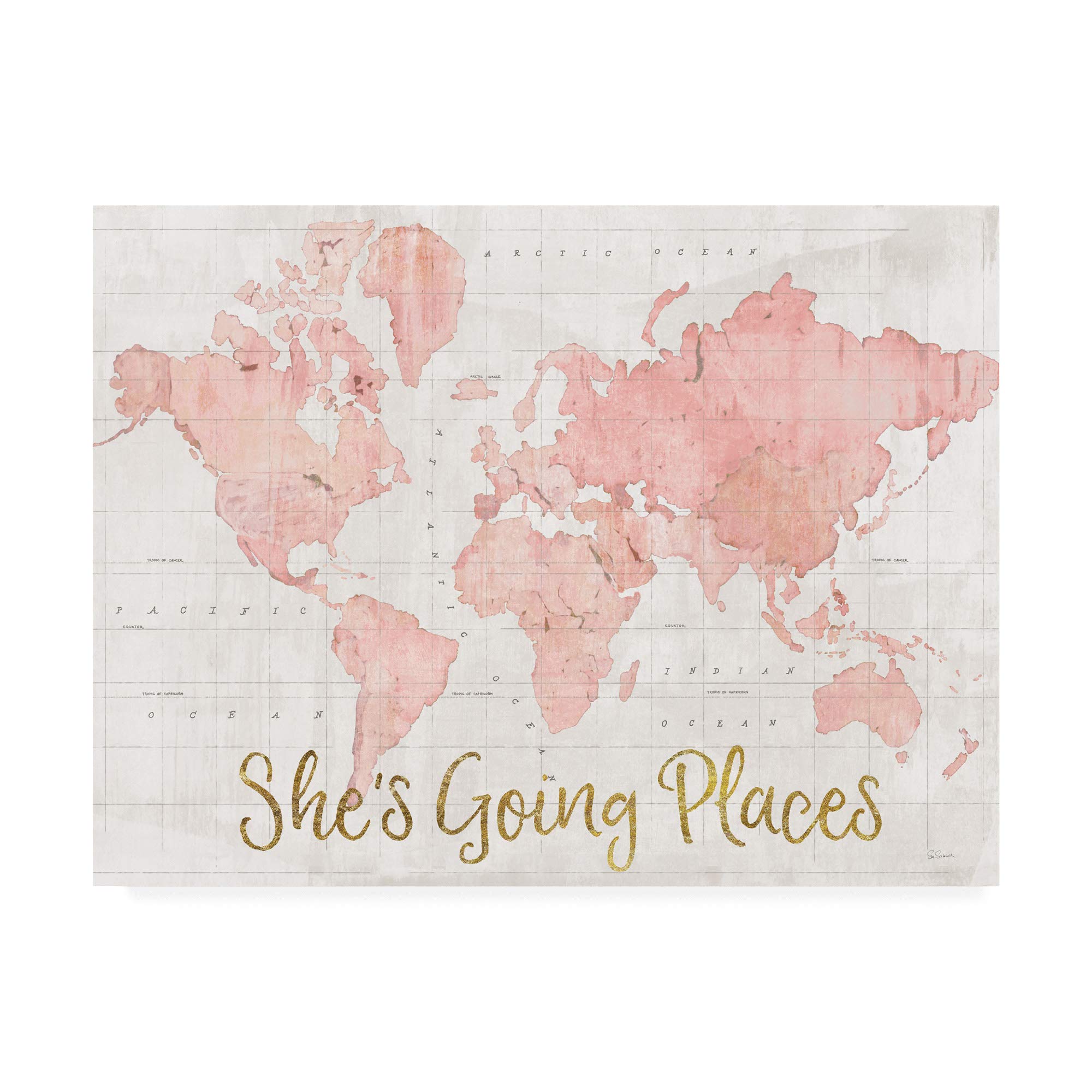 Trademark Fine Art - Sue Schlabach's 'Across The World She's Going Places' Pink Wall Art Print 35x47 - Perfect for Girls' Bedroom, Nursery Decor & Inspirational Gift