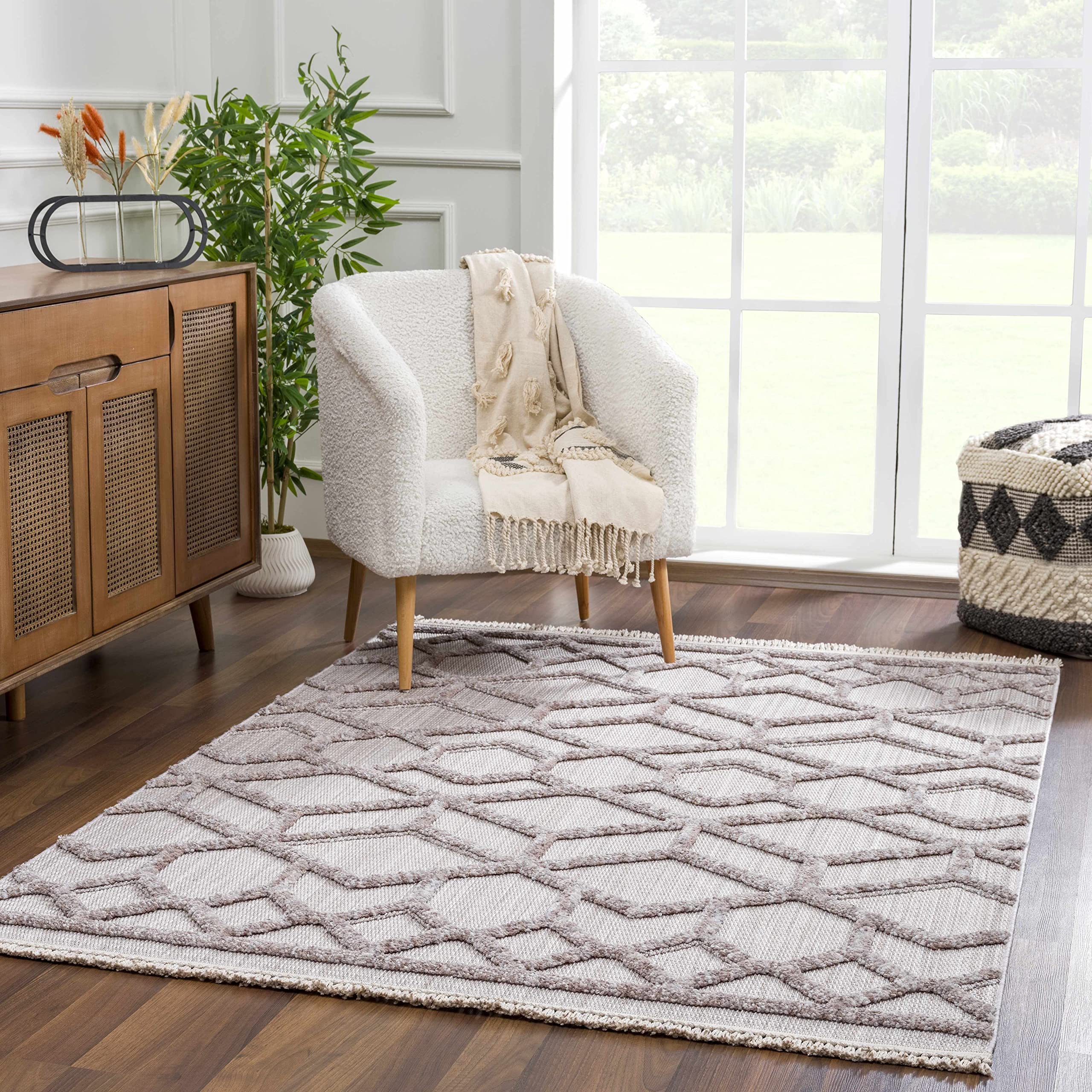 Luxury Hauteloom Borbon Plush High Pile Area Rug - Soft Beige & Gray Modern Design - 5'3