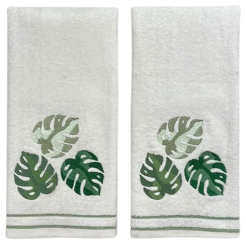 Monstera