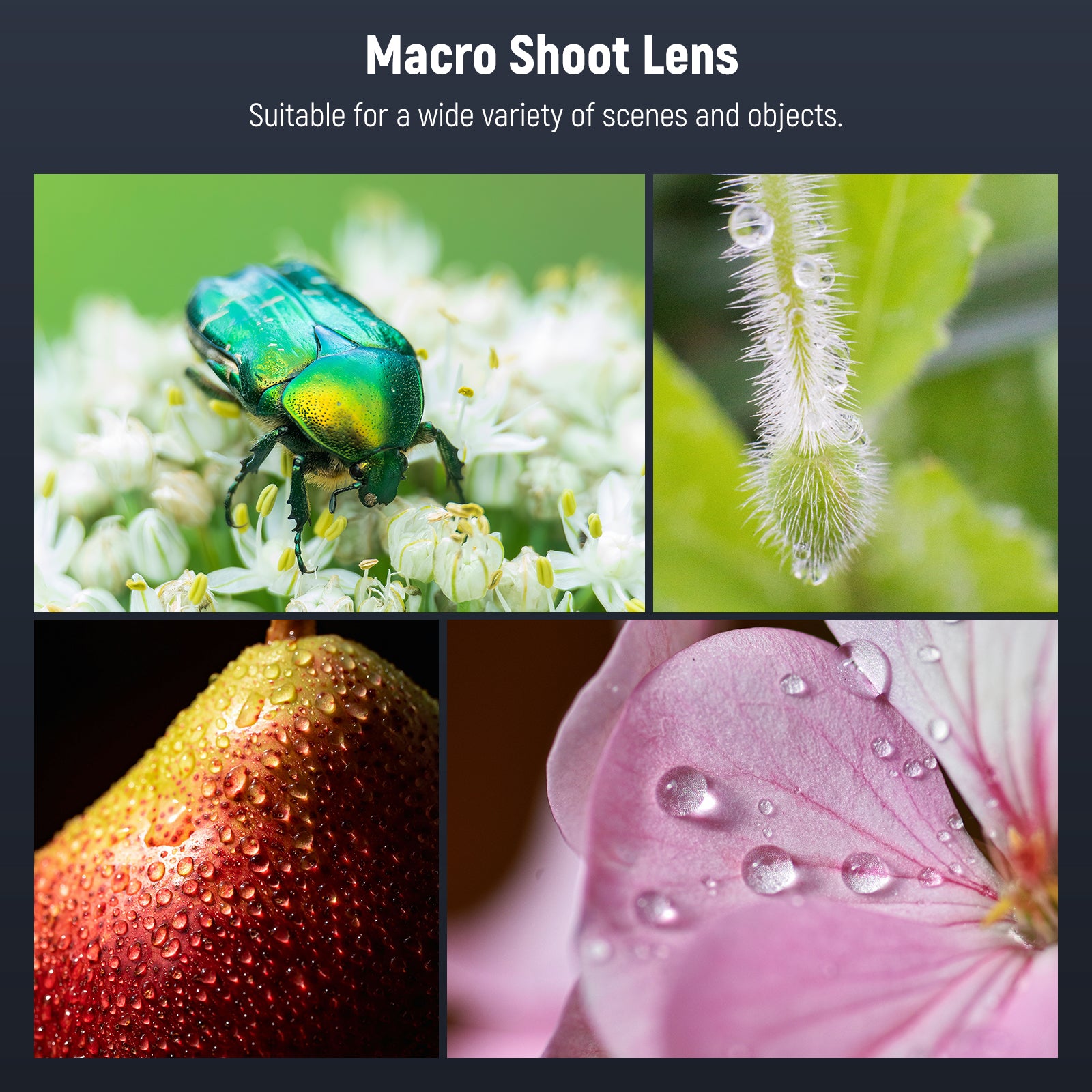 NEEWER LS 26 PRO 105mm Macro Lens for Smartphone Photography - 17mm Phone Clip & 67mm Filter Adapter Included - Perfect for Close-Up Shots, Product Photography & Nature Macro Shooting