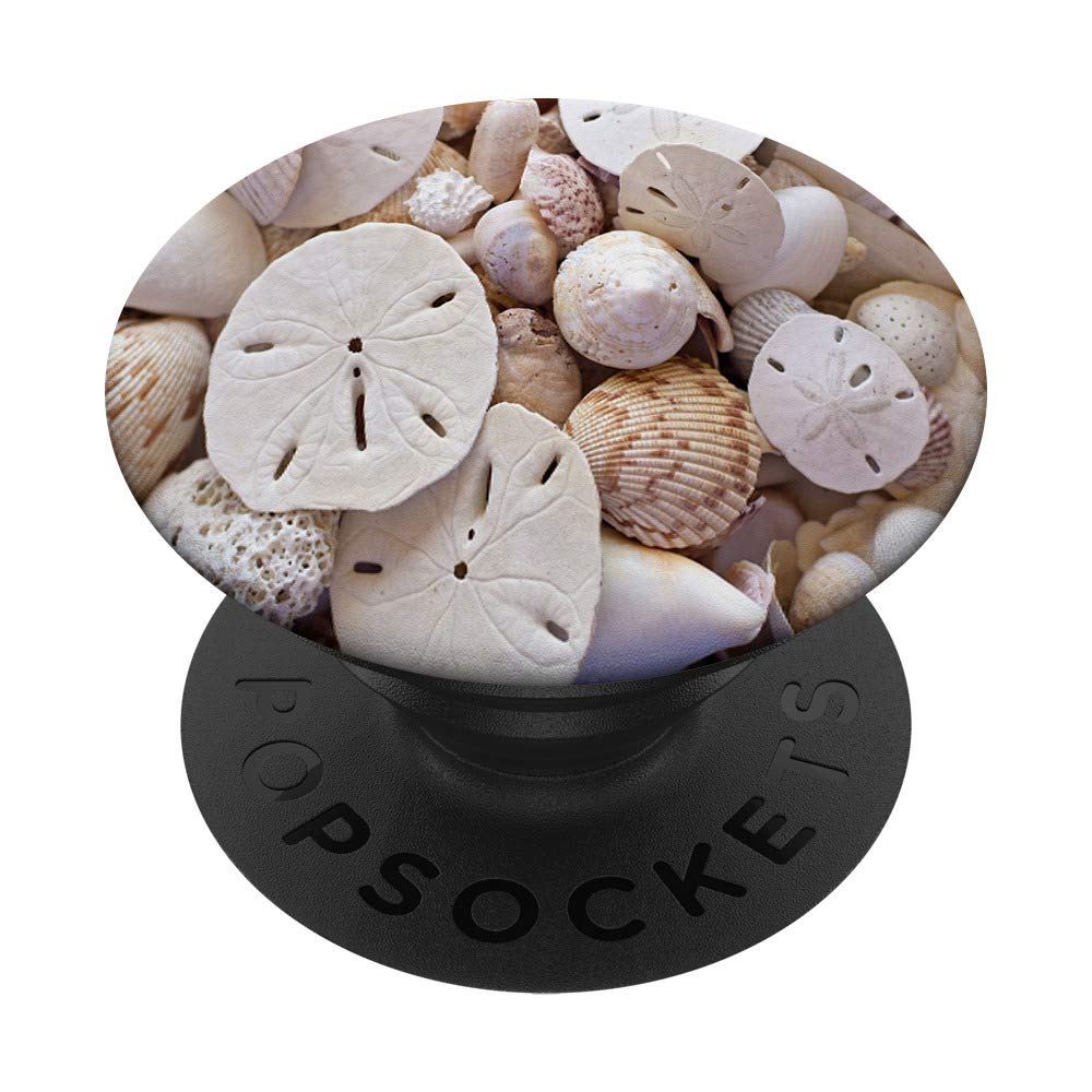 Sand Dollars and Seashells PopSockets PopGrip - Interchangeable Phone & Tablet Stand with Swappable Grip for iPhone, Samsung, and More | Perfect for Beach Lovers, Summer Travel, and Coastal Decor