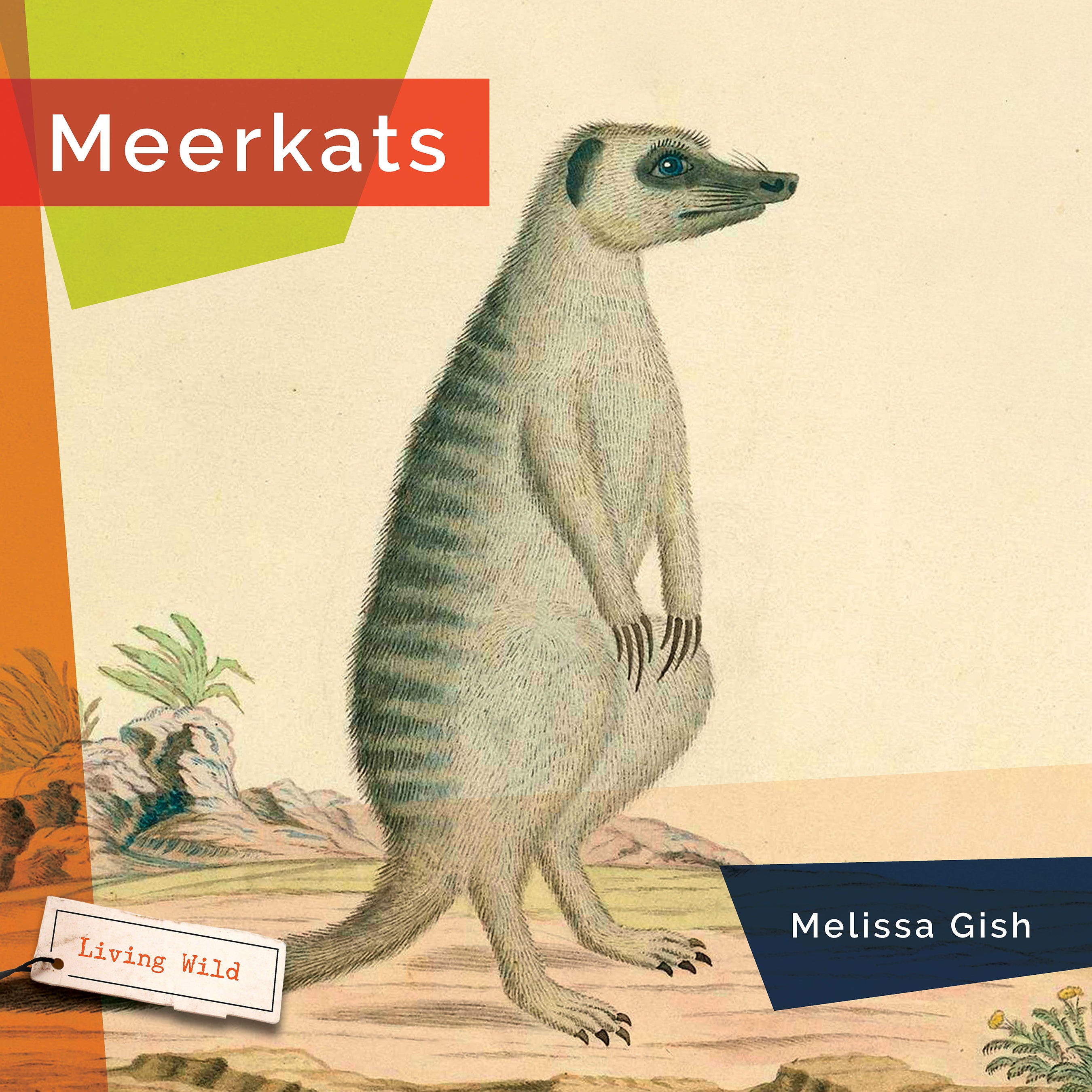 Meerkats Book 9781640267930 - Wildlife Animal Facts & Photos for Kids, Adults - Perfect for Learning, Gifts & Classroom Use