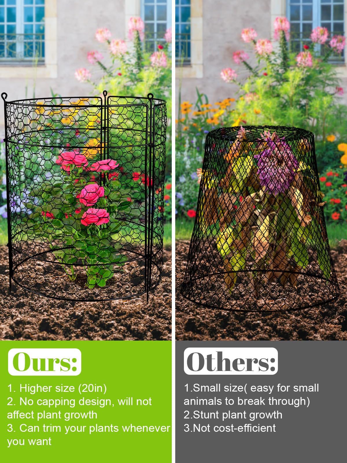 Kalolary 10-Pack Large 20'' x 14'' Metal Garden Plant Protectors - Animal Proof Wire Cages with Stakes for Rabbits, Squirrels & Pets - Perfect for Vegetable Gardens, Flower Beds & Potted Plants