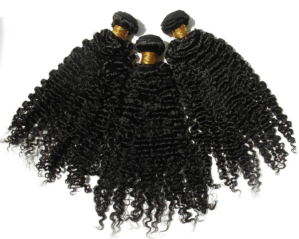 100% Brazilian Virgin Human Hair Weft Bundles - 3B/3C Kinky Curly 14