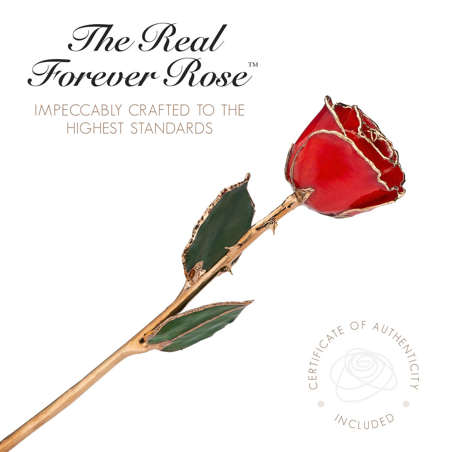 24K Gold Dipped Real Forever Rose - Genuine Handcrafted Luxury Gift for Women & Men | Anniversary, Valentine's Day, Wedding & Romantic Occasions