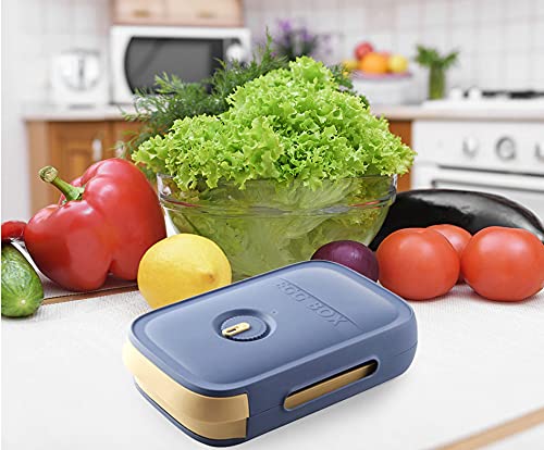 Coskira Plastic Egg Storage Container with Lid - Holds 18-21 Eggs, Drawer-Style Fridge Organizer for Kitchen Refrigerator (Blue) | Perfect for Keeping Eggs Fresh & Organized in Your Home Kitchen