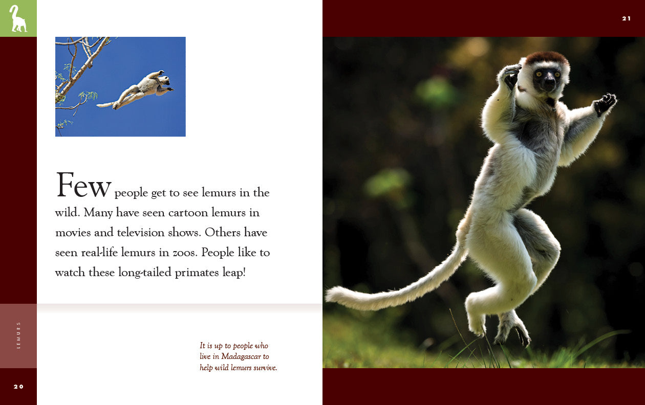 Lemurs Book 9781640265677 - Wildlife Education, Animal Facts & Nature Exploration - Perfect for Kids, Students & Animal Lovers